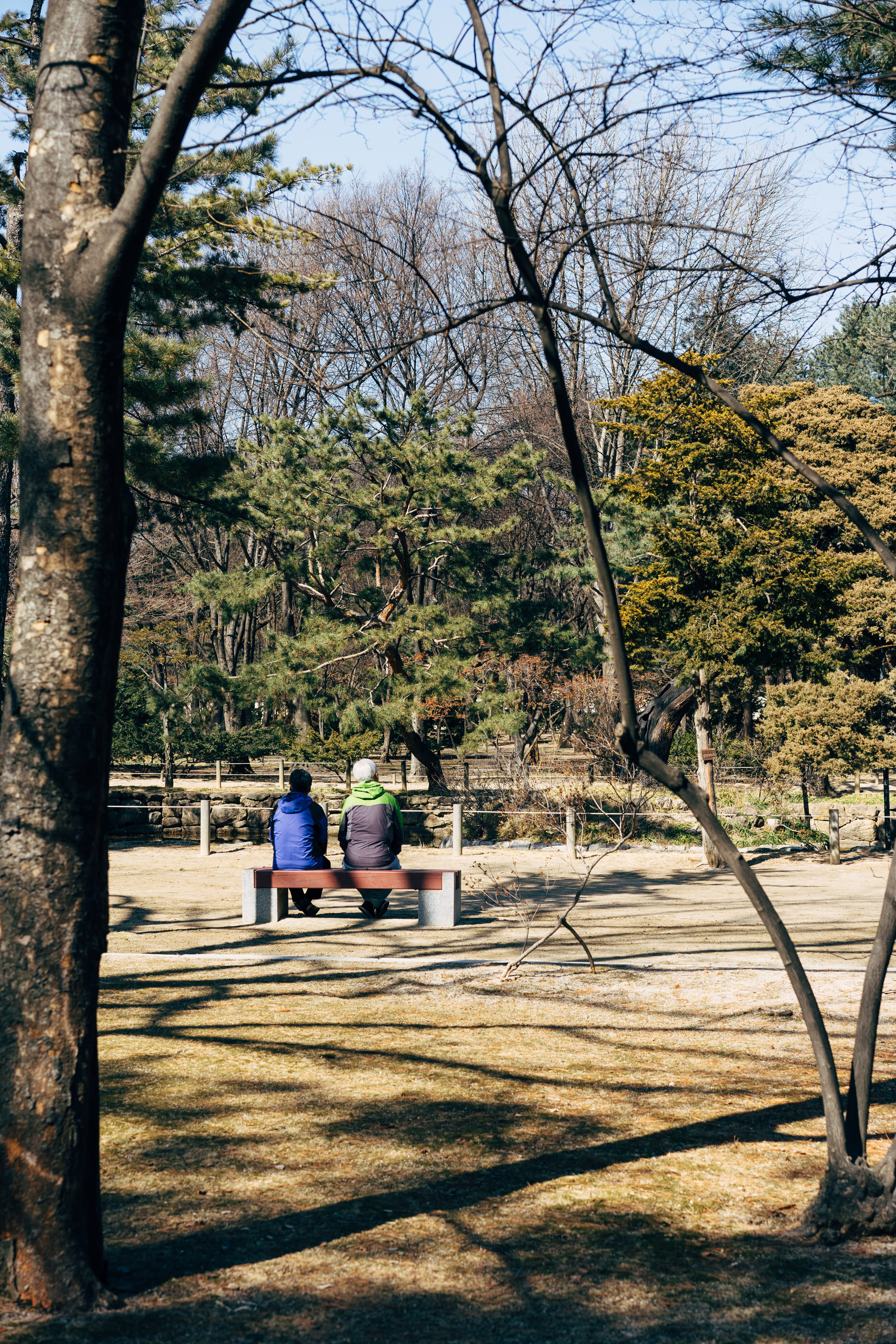 Two people sitting on a bench in a park.