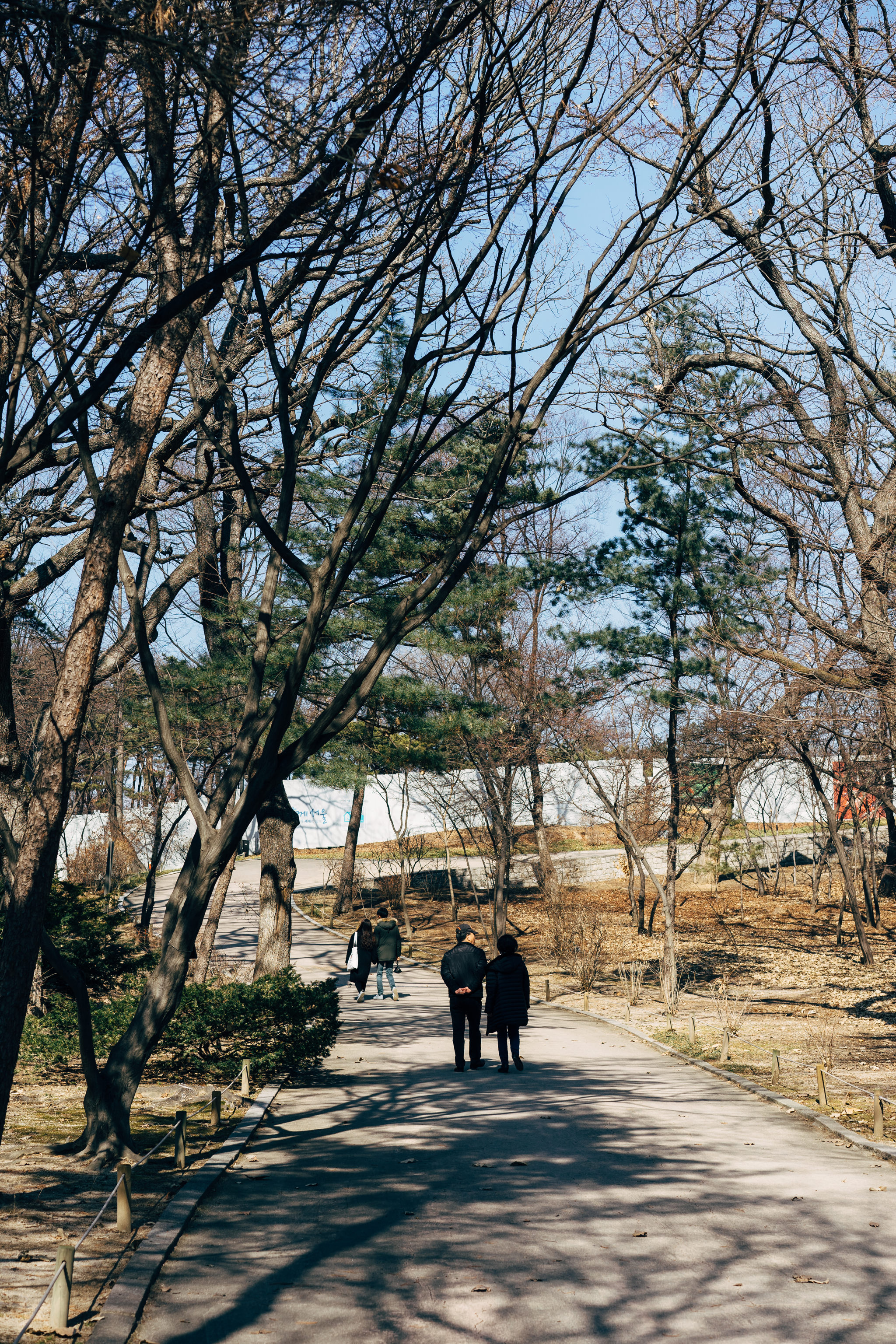 Two people walk down a paved path in a park lined with bare trees.