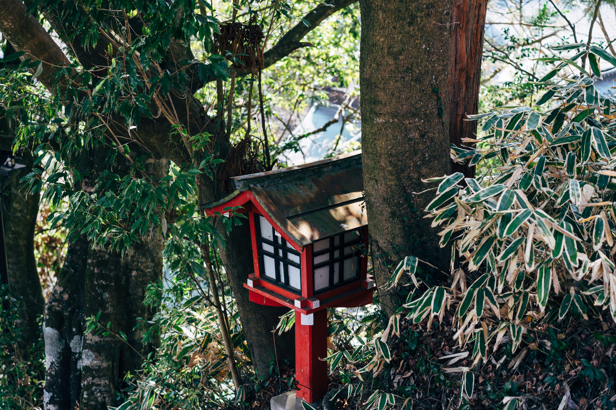Small red and white Japanese shrine nestled among trees and foliage.