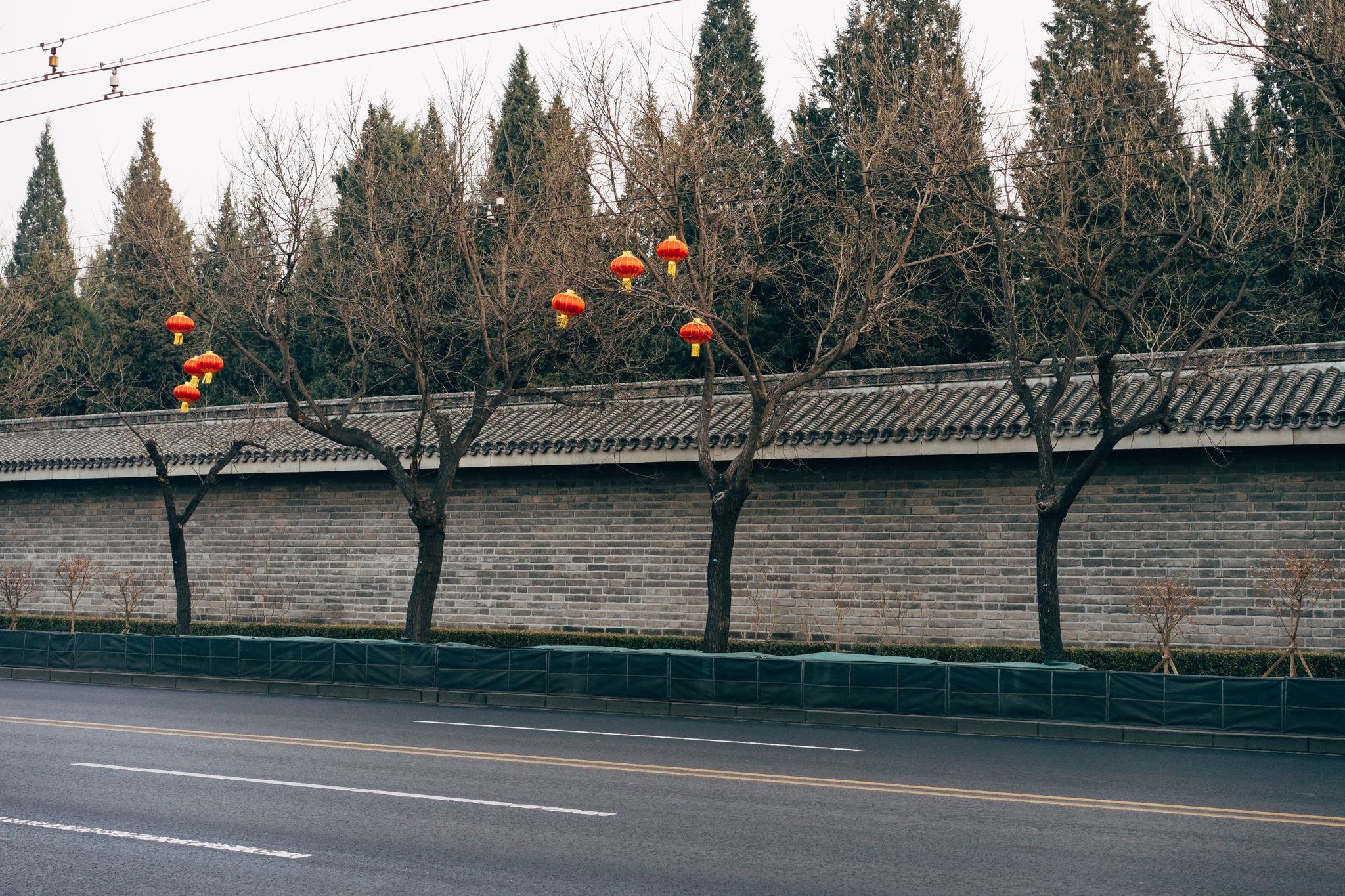 Red and yellow lanterns hang from bare trees in front of a grey brick wall in Beijing.