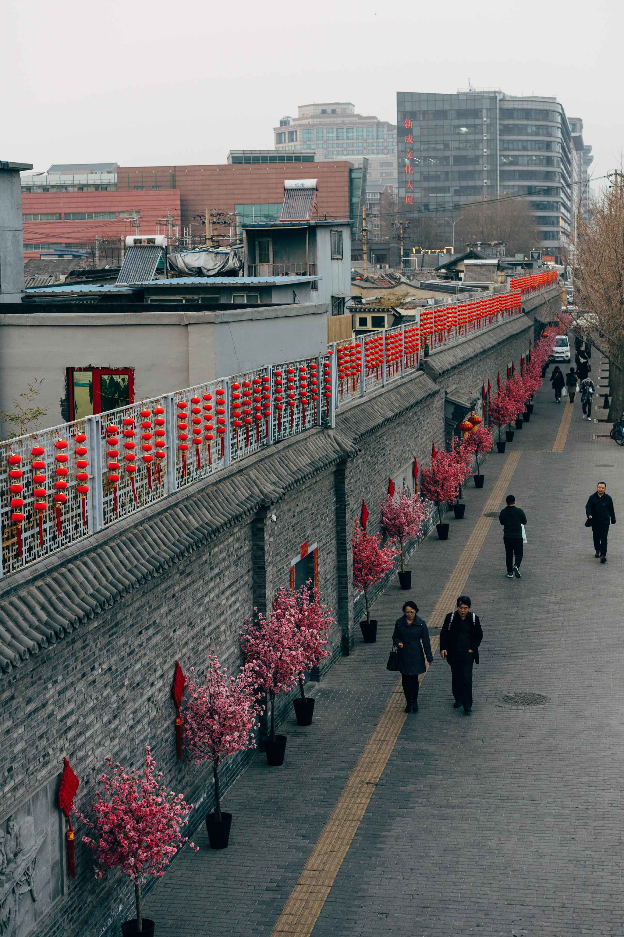 Beijing street scene with a gray brick wall decorated with red lanterns and pink flowering trees. People walking on the sidewalk.