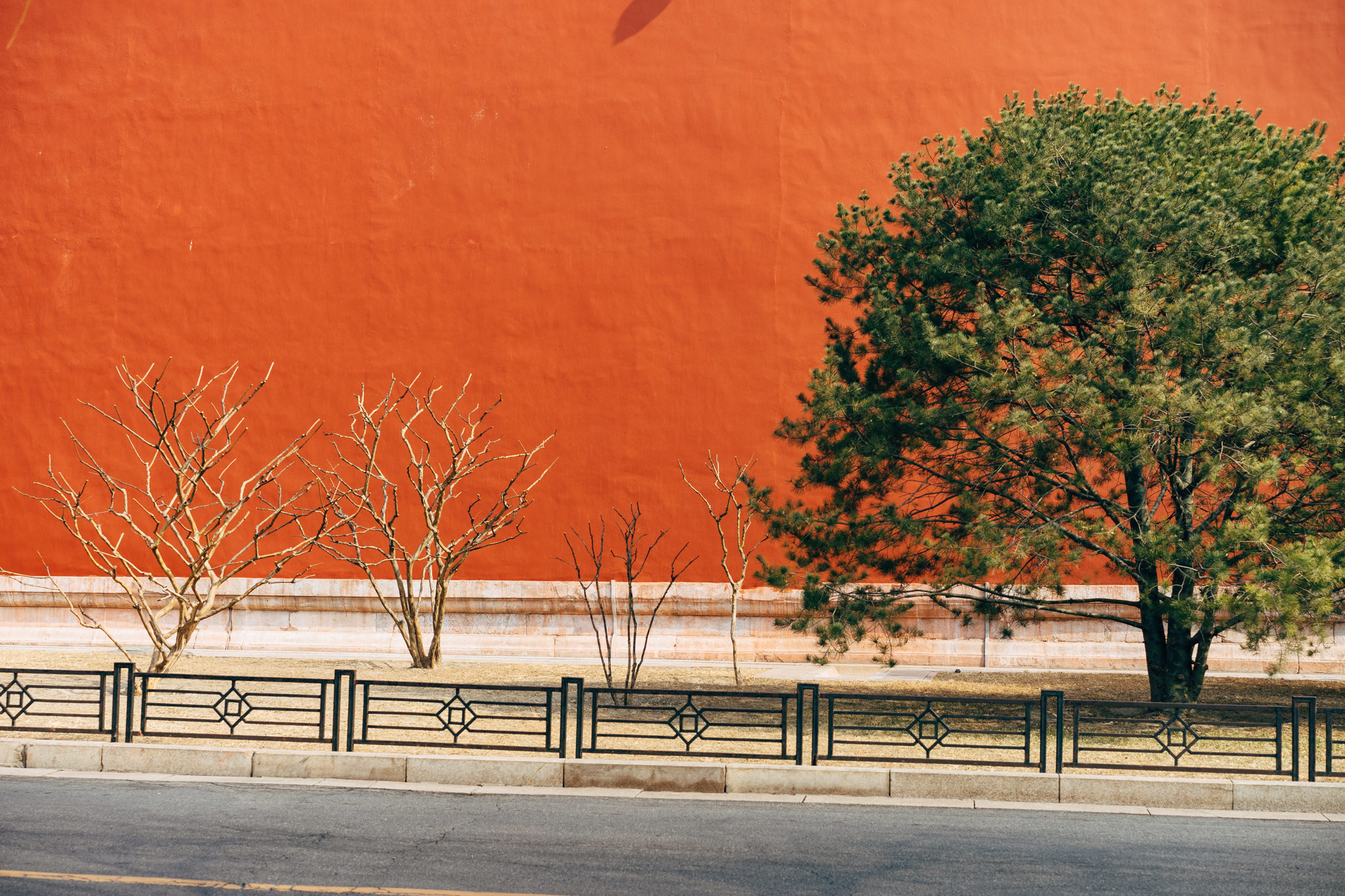 Beijing's red wall with bare and evergreen trees.