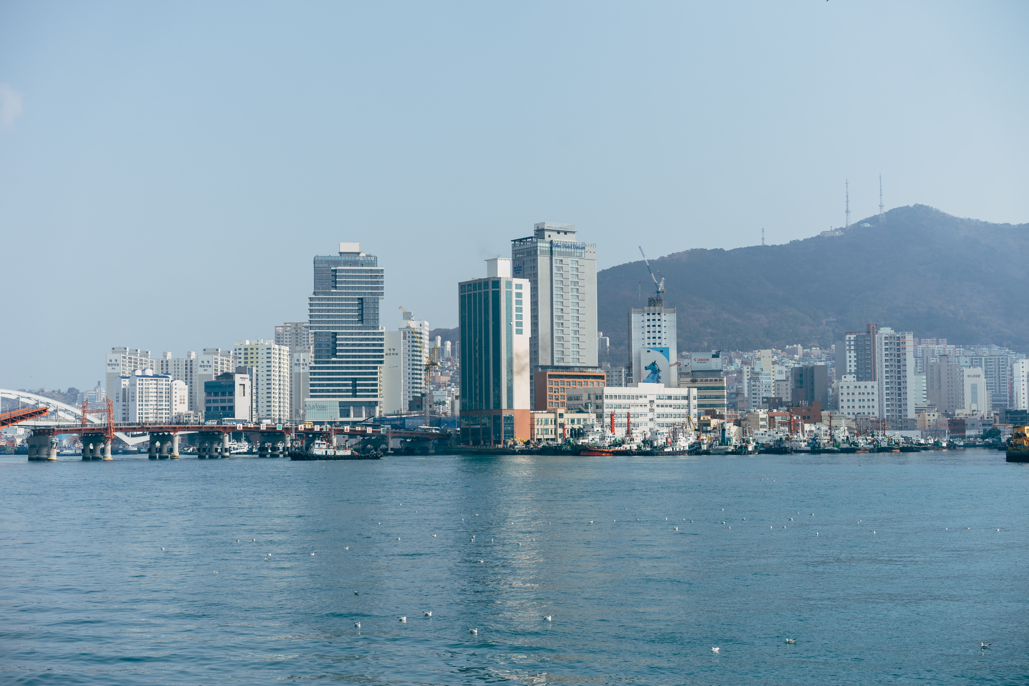 Busan, South Korea cityscape with harbor and bridge.