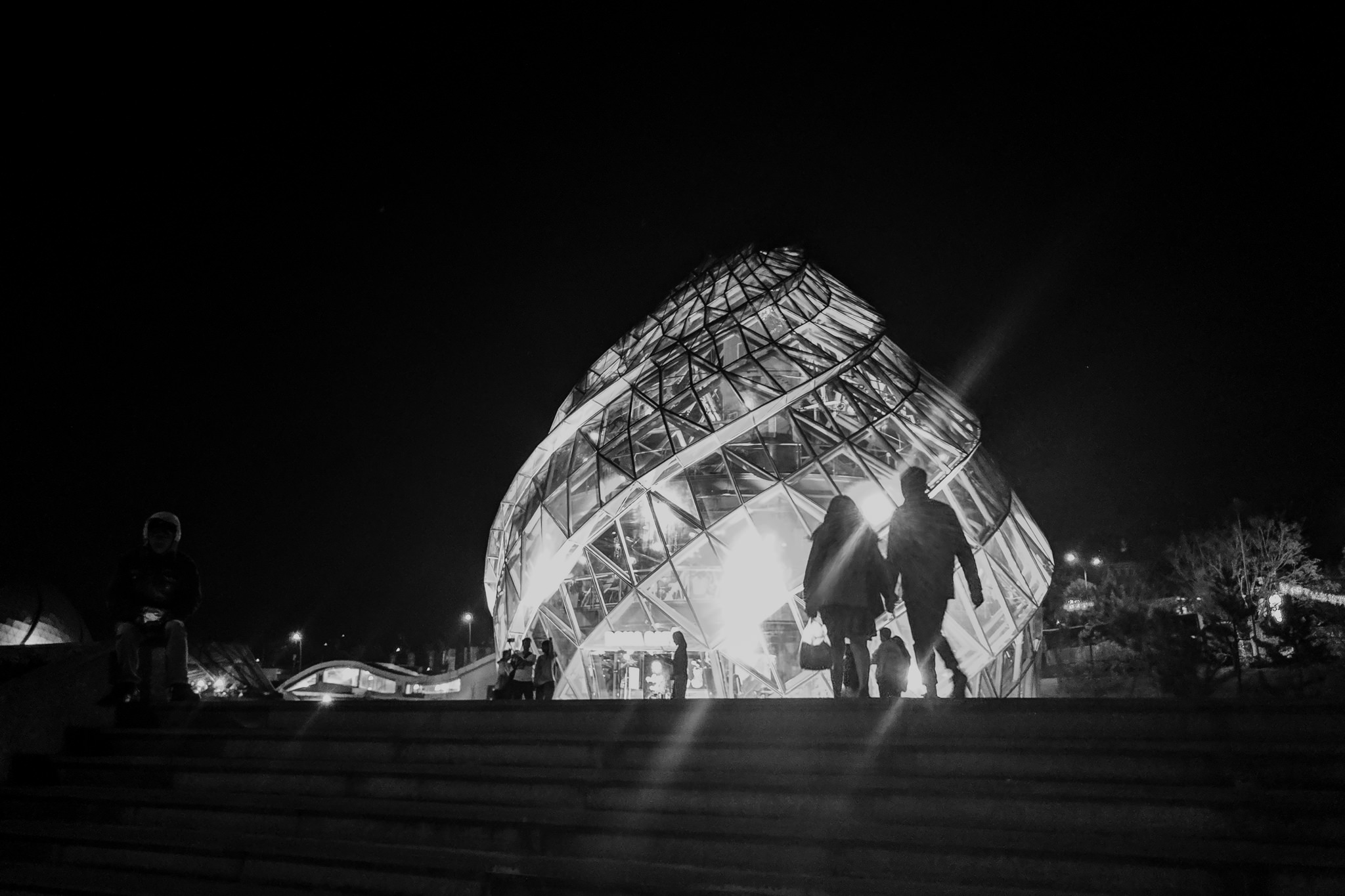 Black and white photo of a large, illuminated glass structure at night, with several silhouetted figures in the foreground.