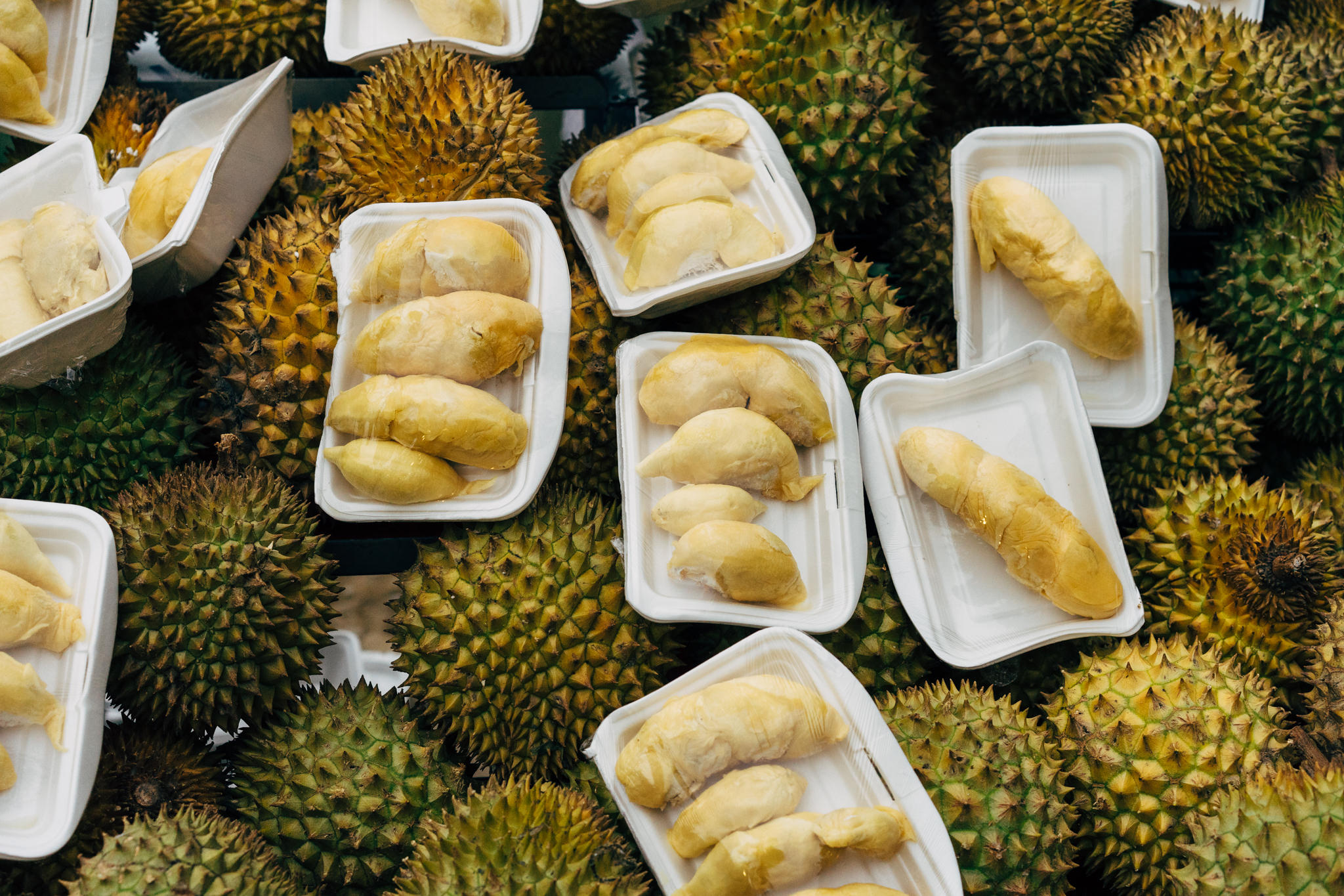 Overhead view of multiple containers of durian fruit segments surrounded by whole durians.