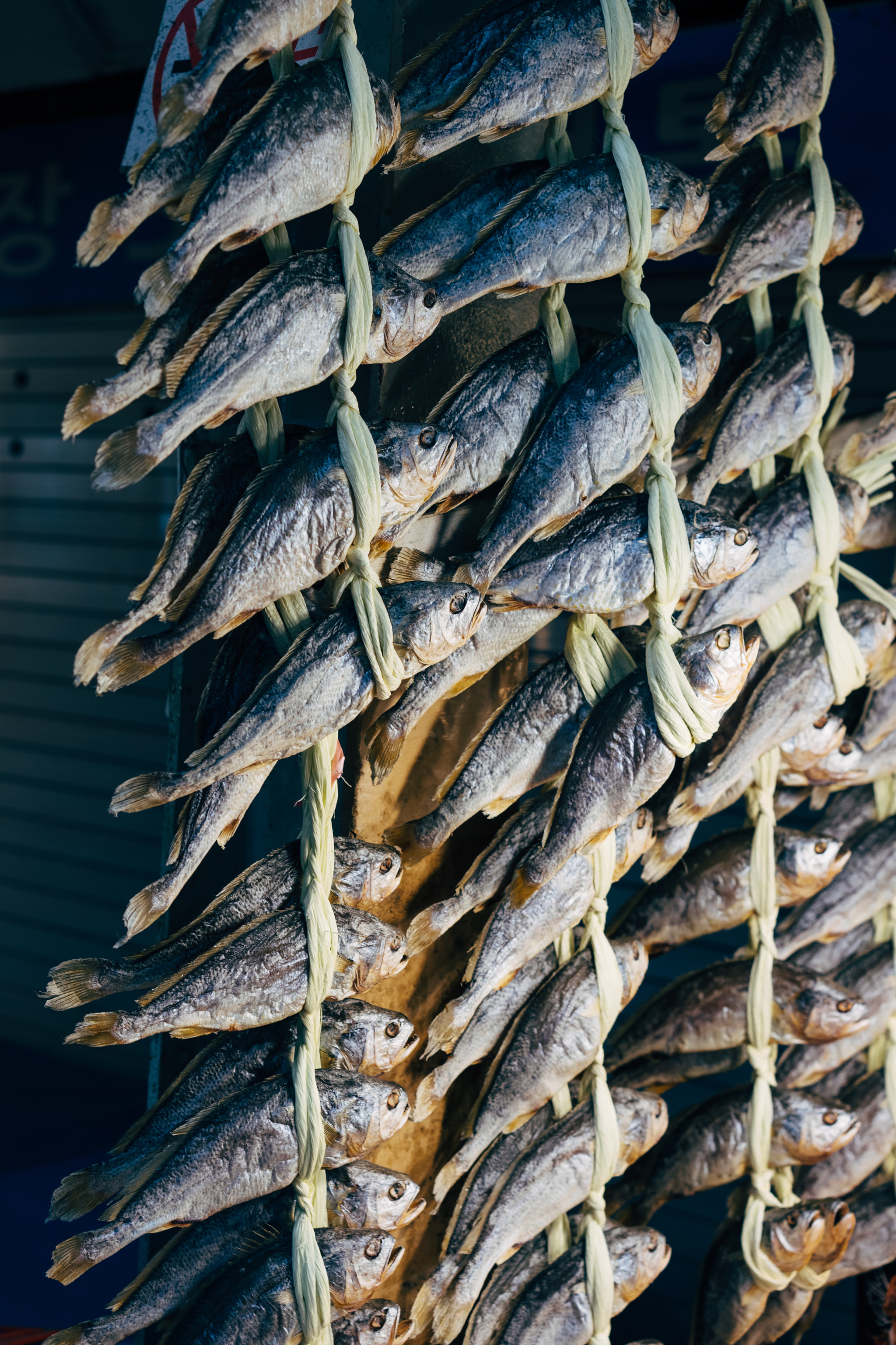 Dried fish hanging in a Korean market.