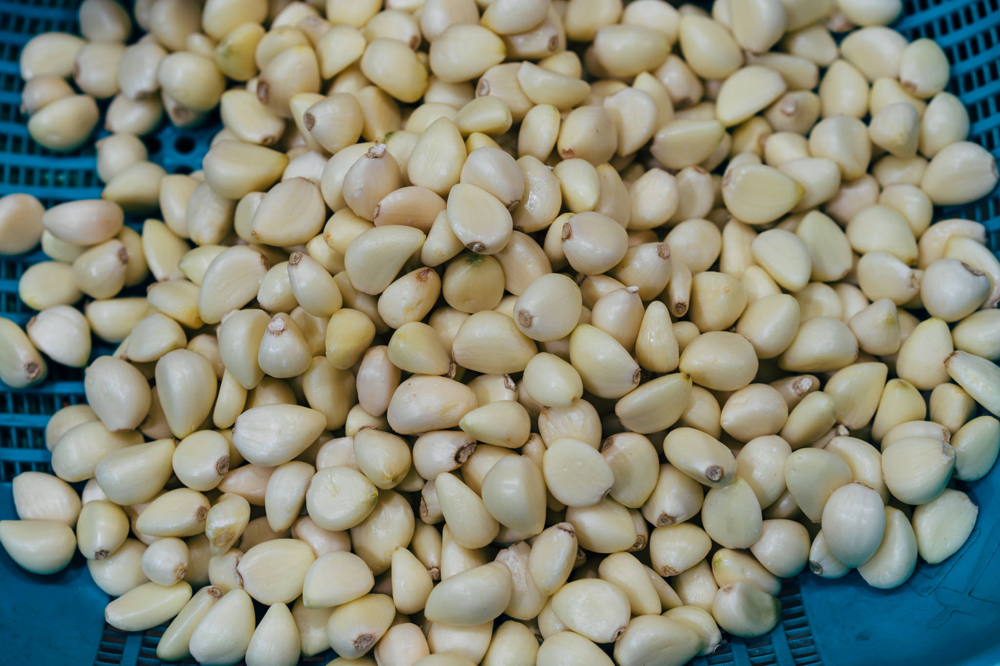 Pile of peeled garlic cloves in a blue bowl.