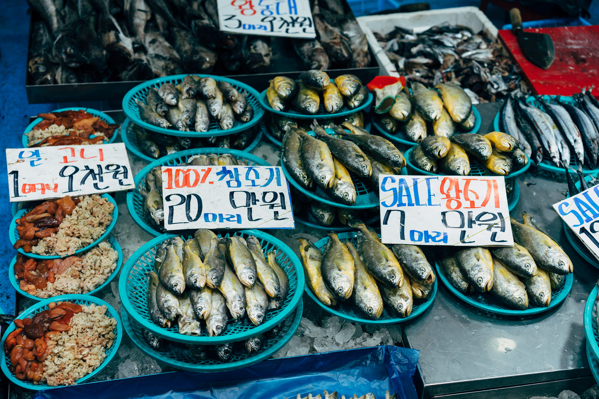 Korean market fish and seafood on ice, with price signs in Korean.