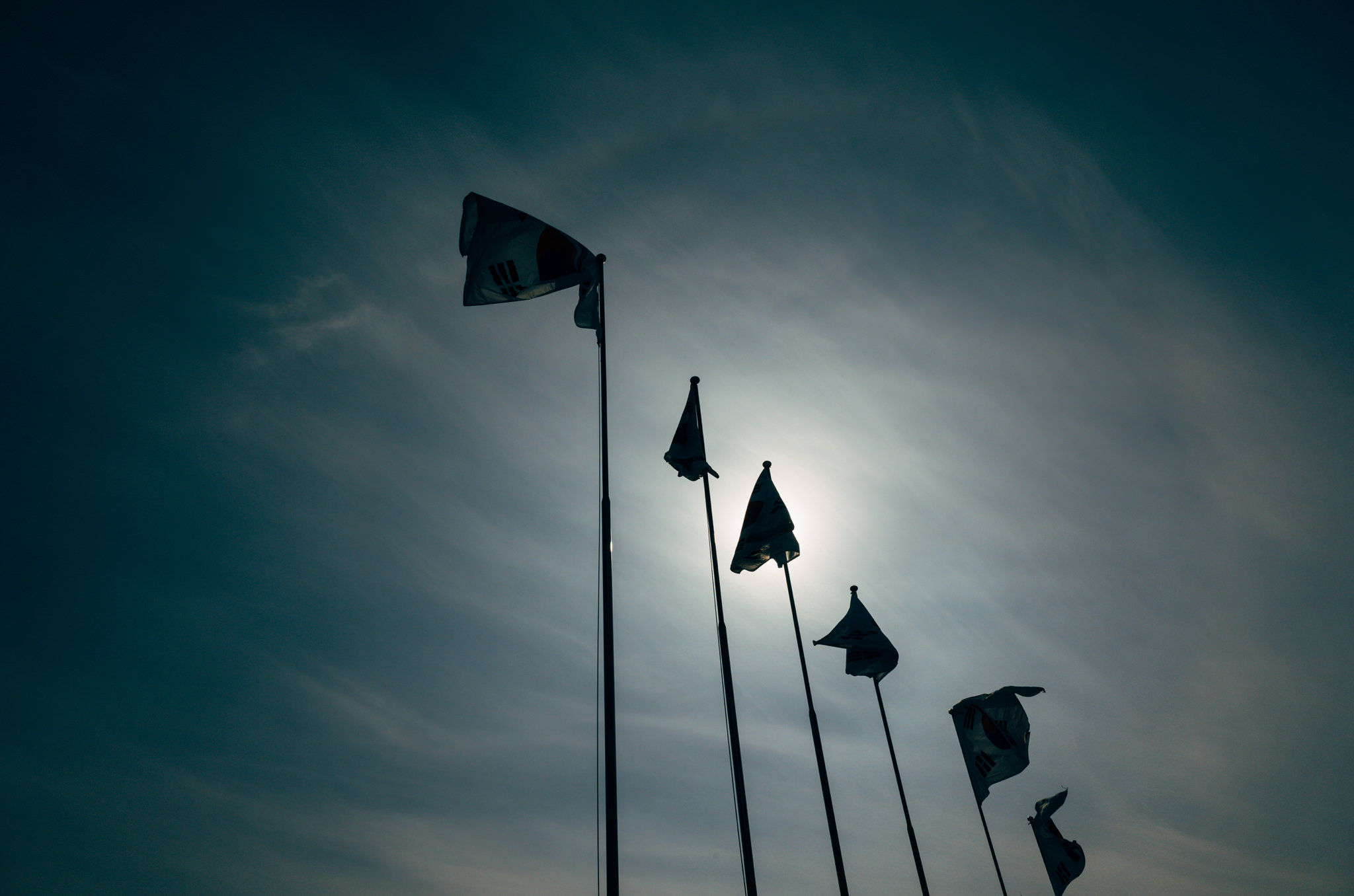 Silhouetted South Korean flags on flagpoles against a cloudy sky.