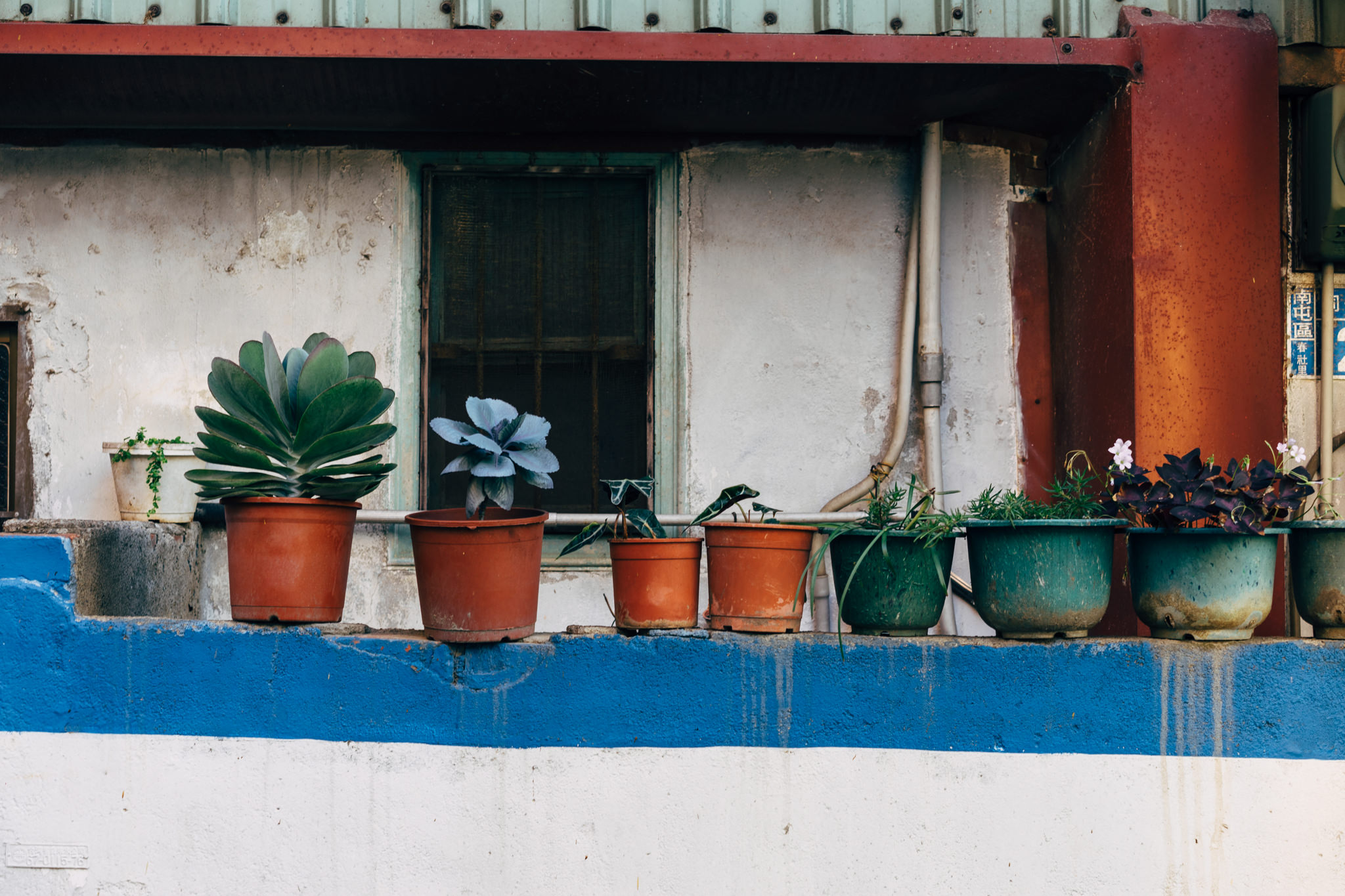 Taichung City plants in terracotta and green pots on a wall.