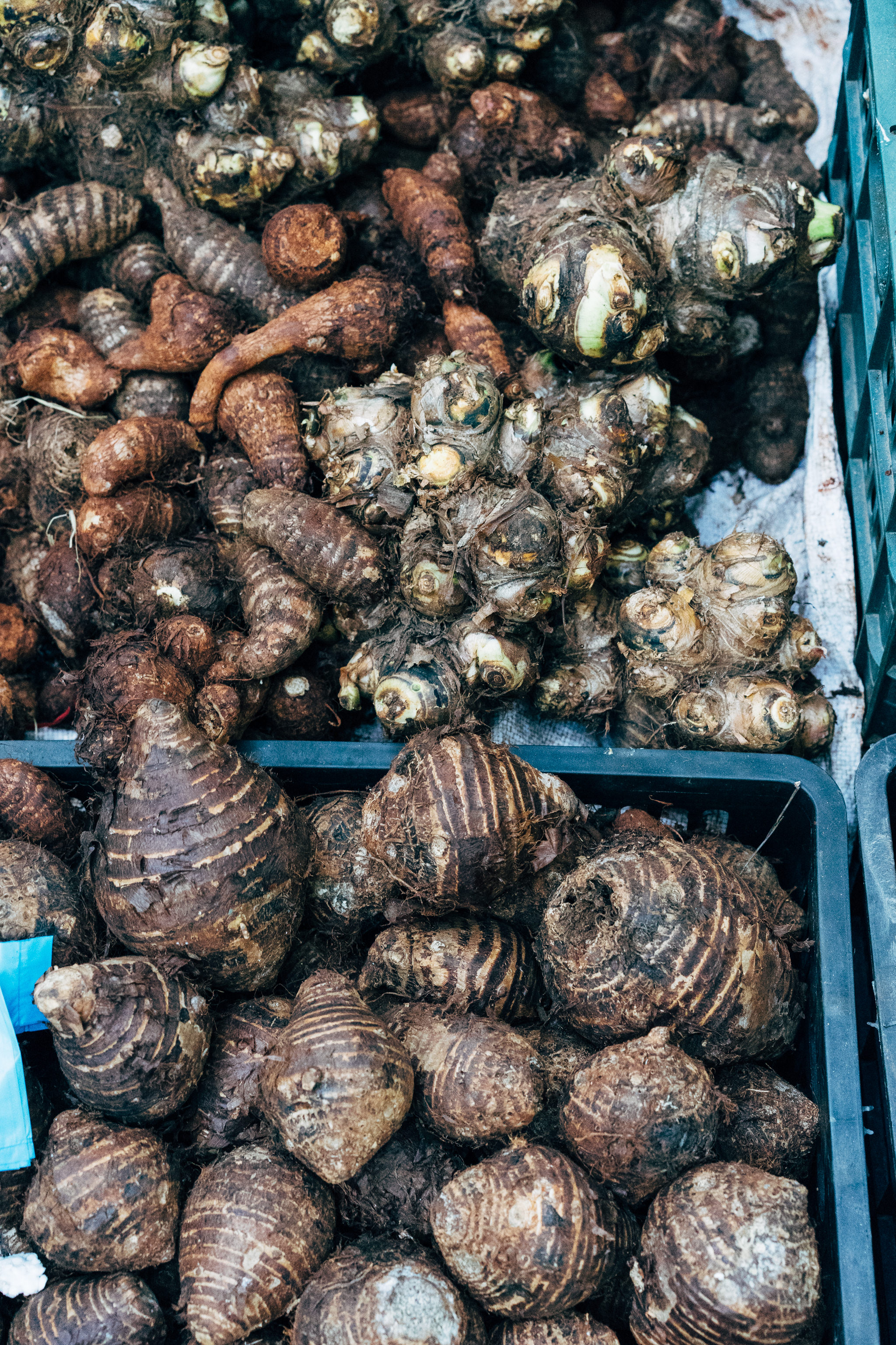 Close-up of taro root vegetables in crates at a market in Vietnam.
