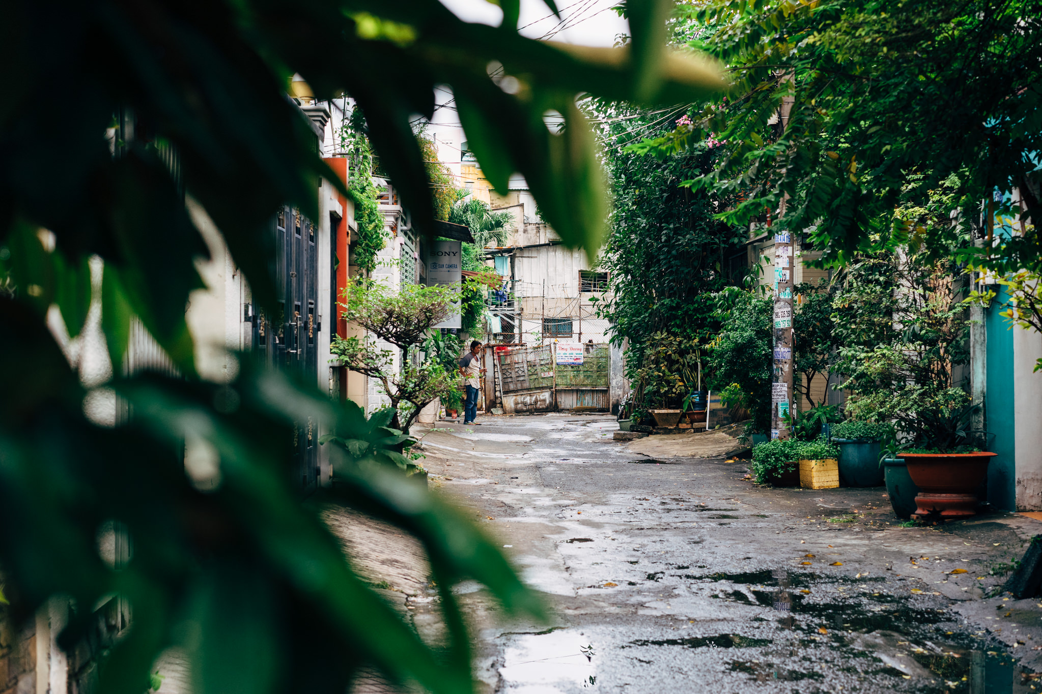 A narrow, wet alleyway in Ho Chi Minh City, partially obscured by foliage, with a person standing in the distance.