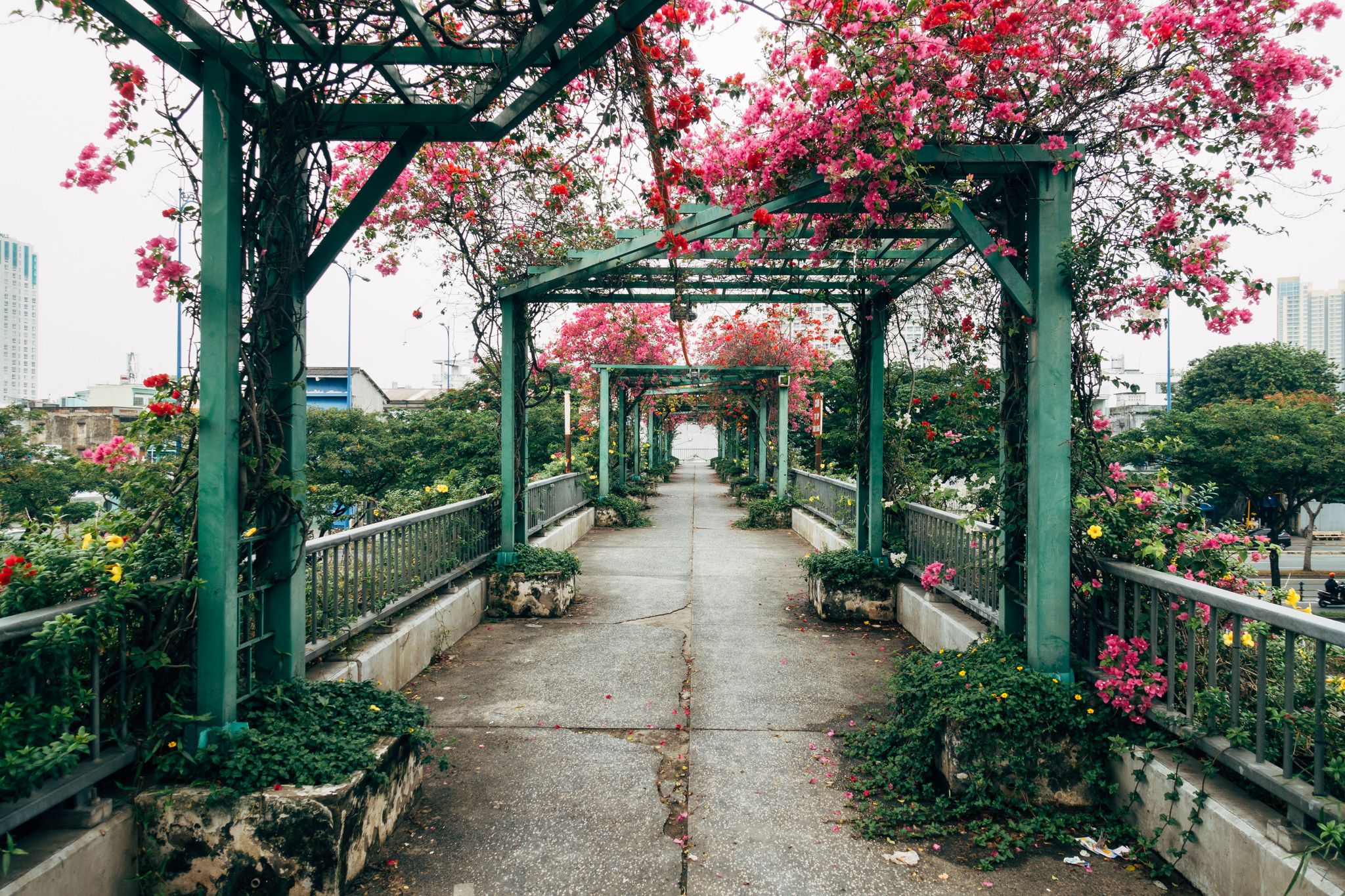 Flower-covered walkway in Saigon, Vietnam.
