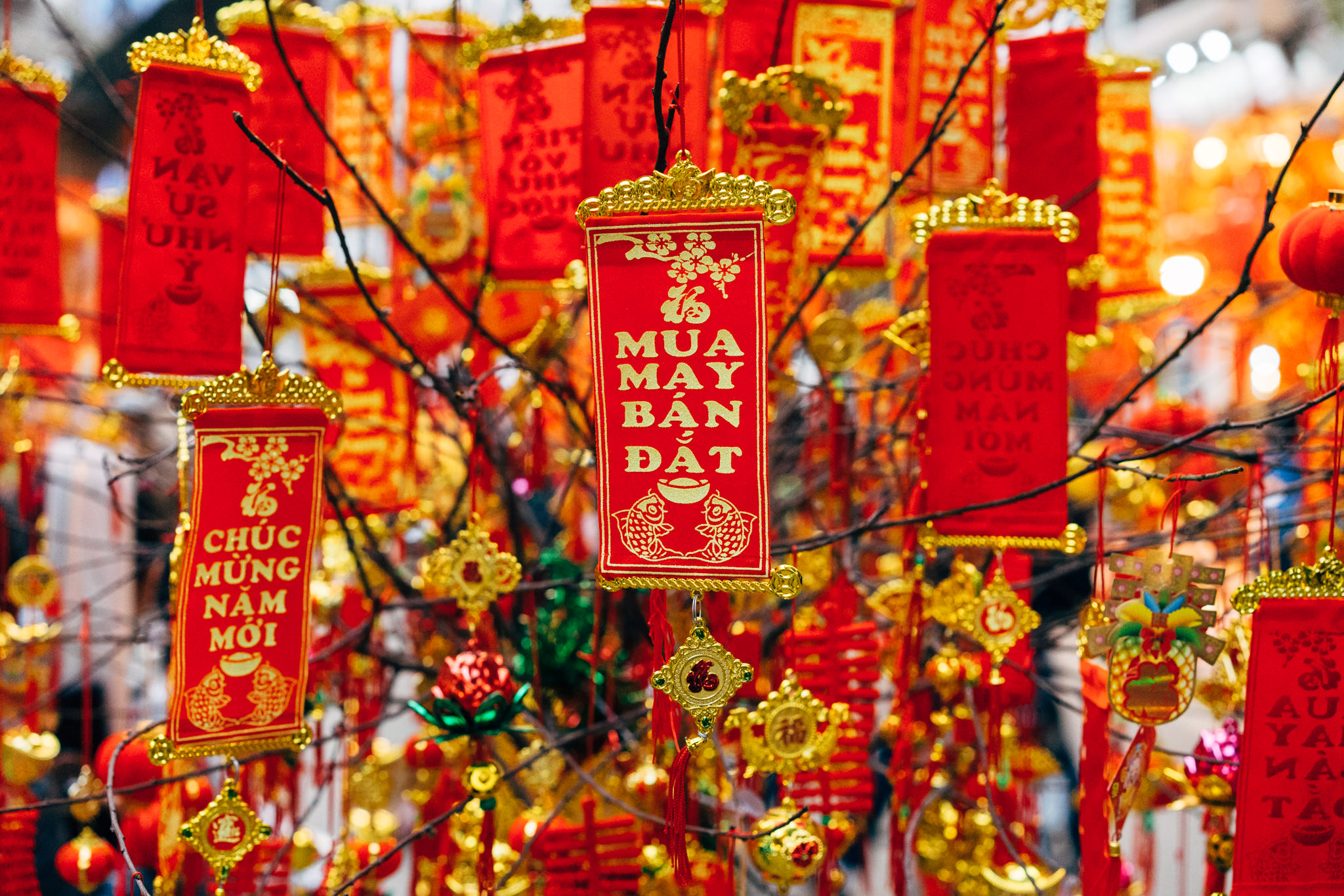 Red and gold Vietnamese New Year decorations hanging from a tree branch.