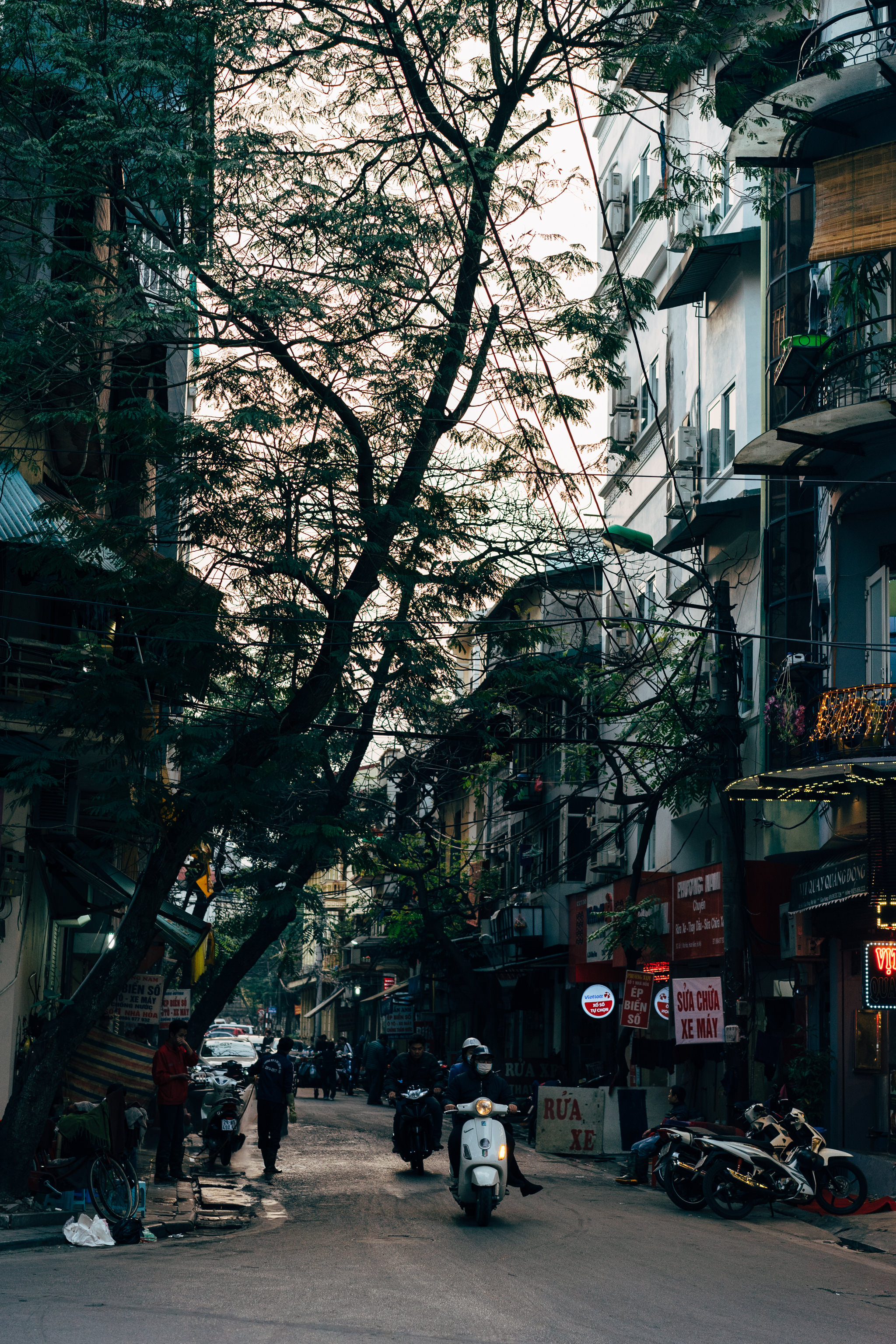 Scooters and pedestrians on a narrow, tree-lined street in Vietnam.