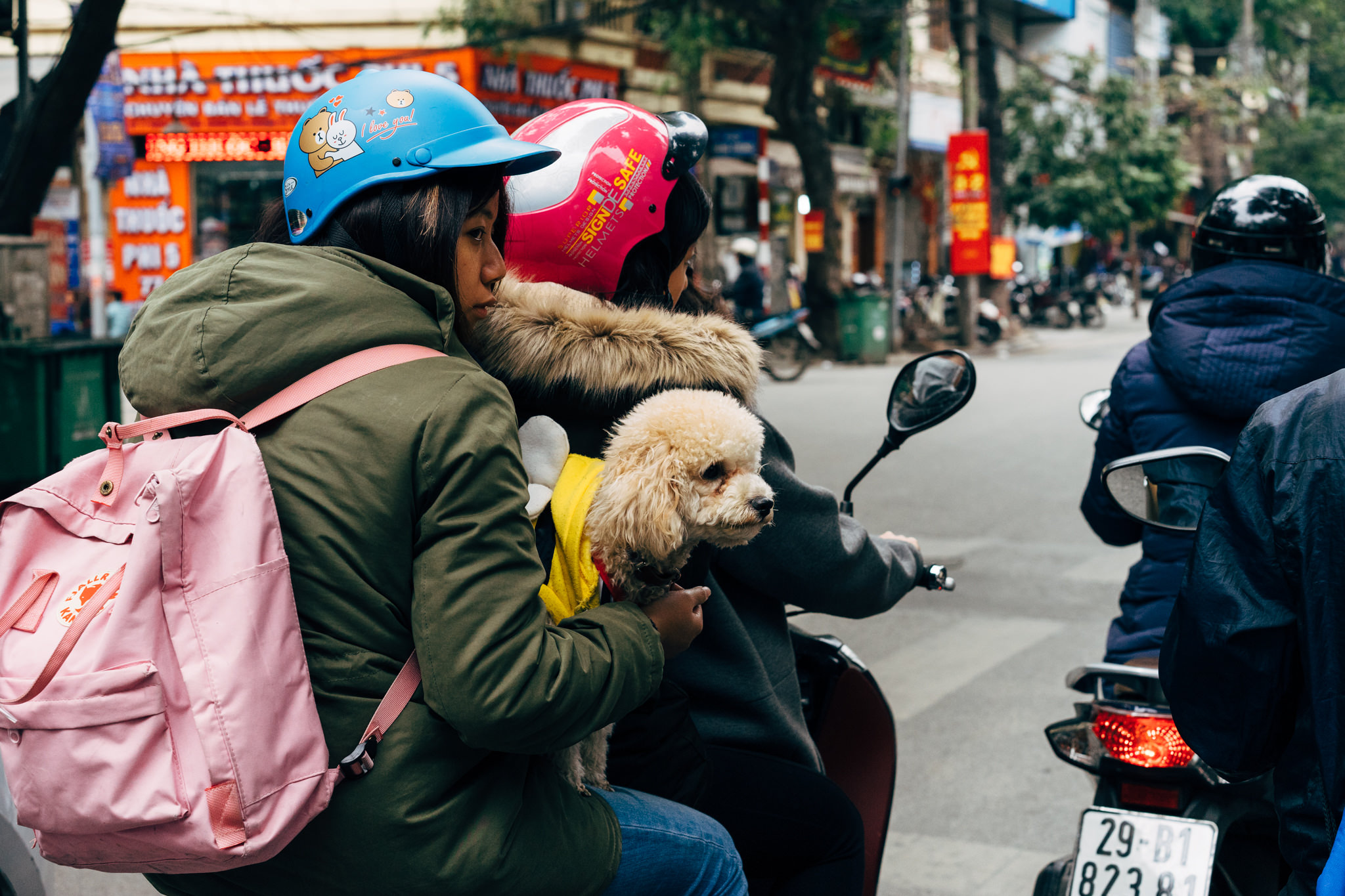 Two women on a motorbike in Vietnam, one carrying a small dog.
