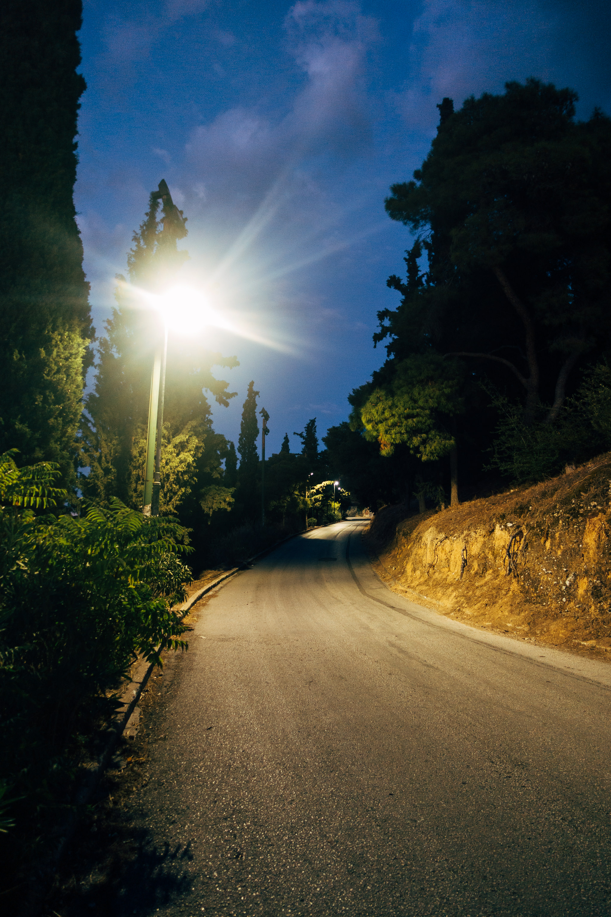 Nighttime view of a curving road lit by a streetlamp, surrounded by trees.