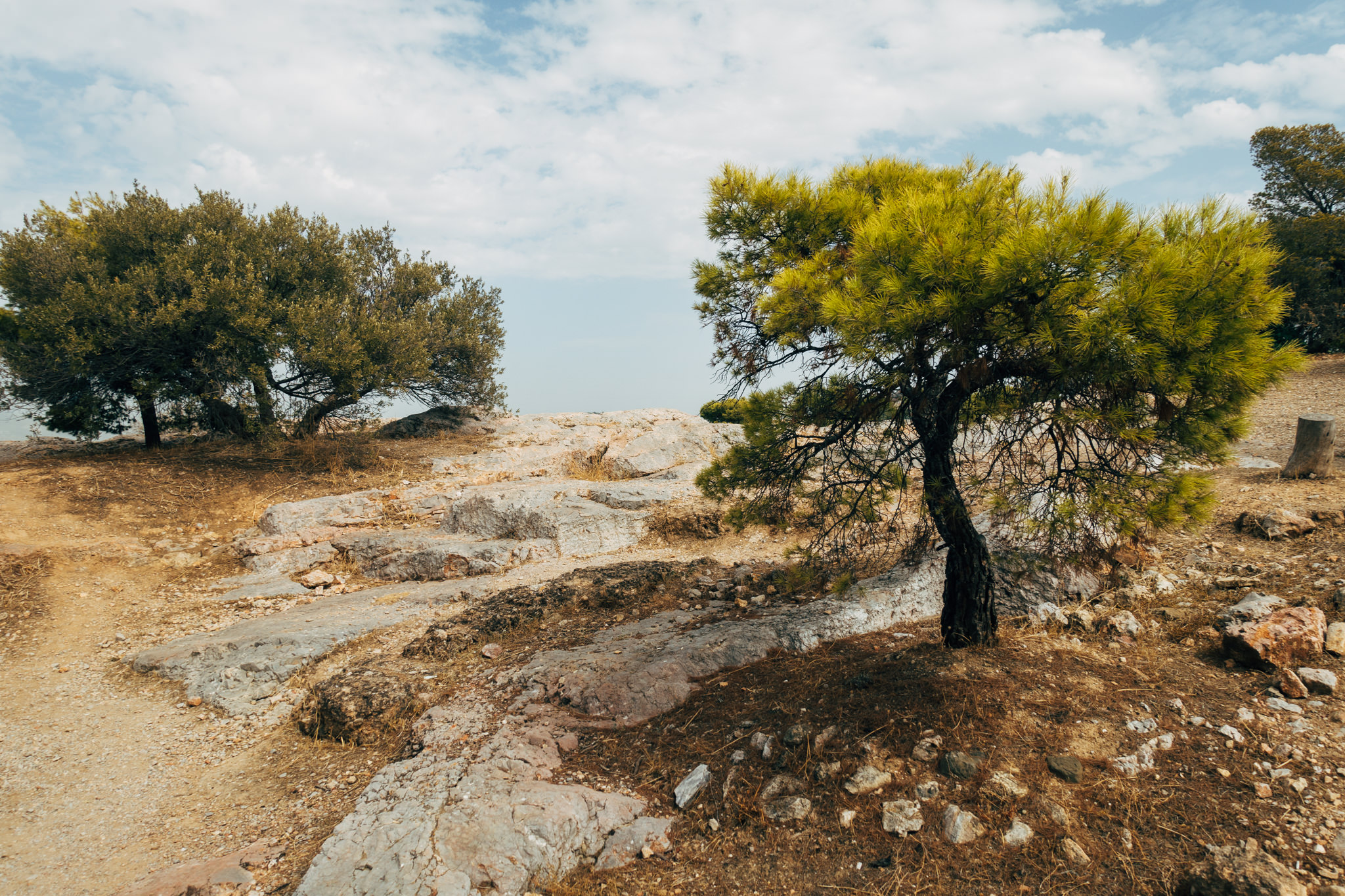 Filopappou Hill in Athens, showing rocky terrain and two trees.