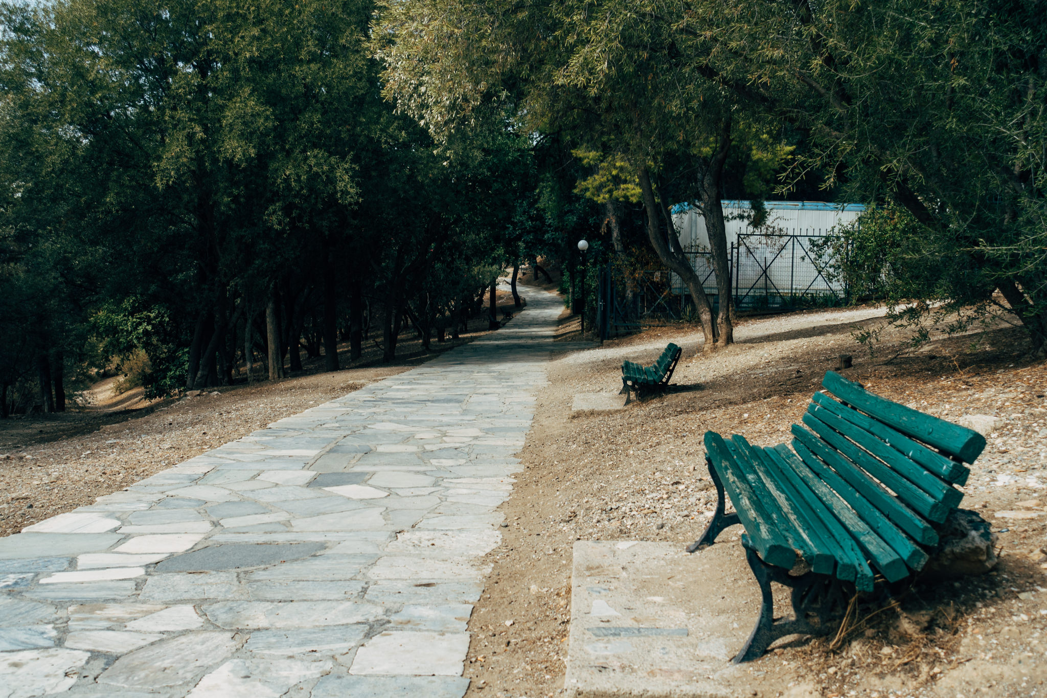 Stone path with two green benches in a shaded park.