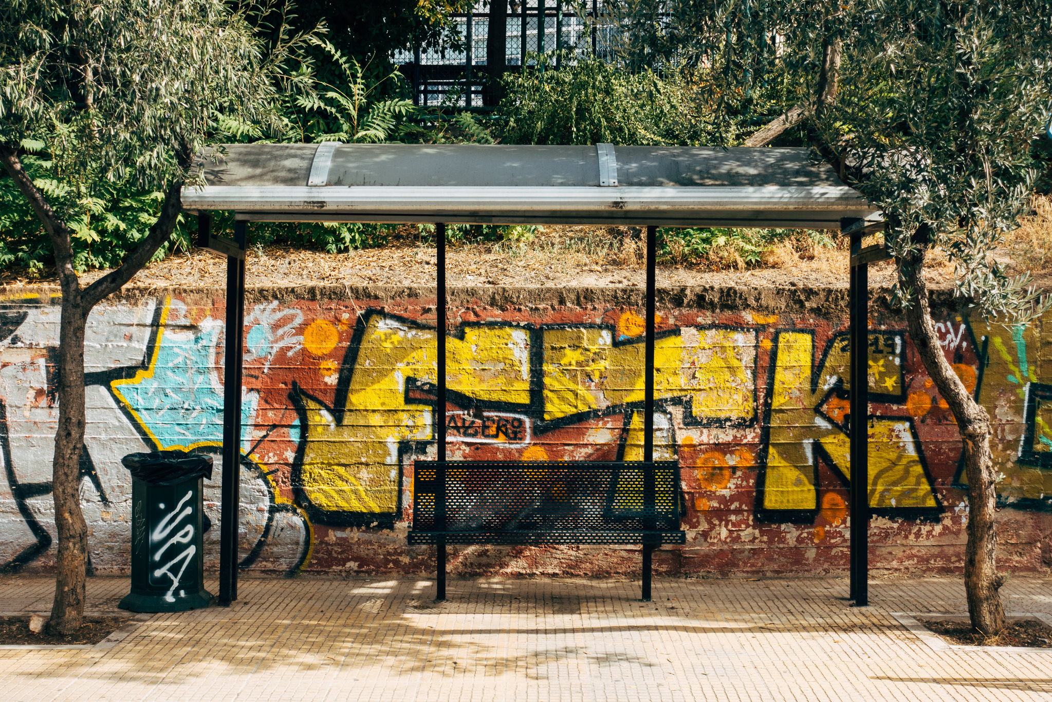 Graffiti-covered bus stop with bench and trash can.