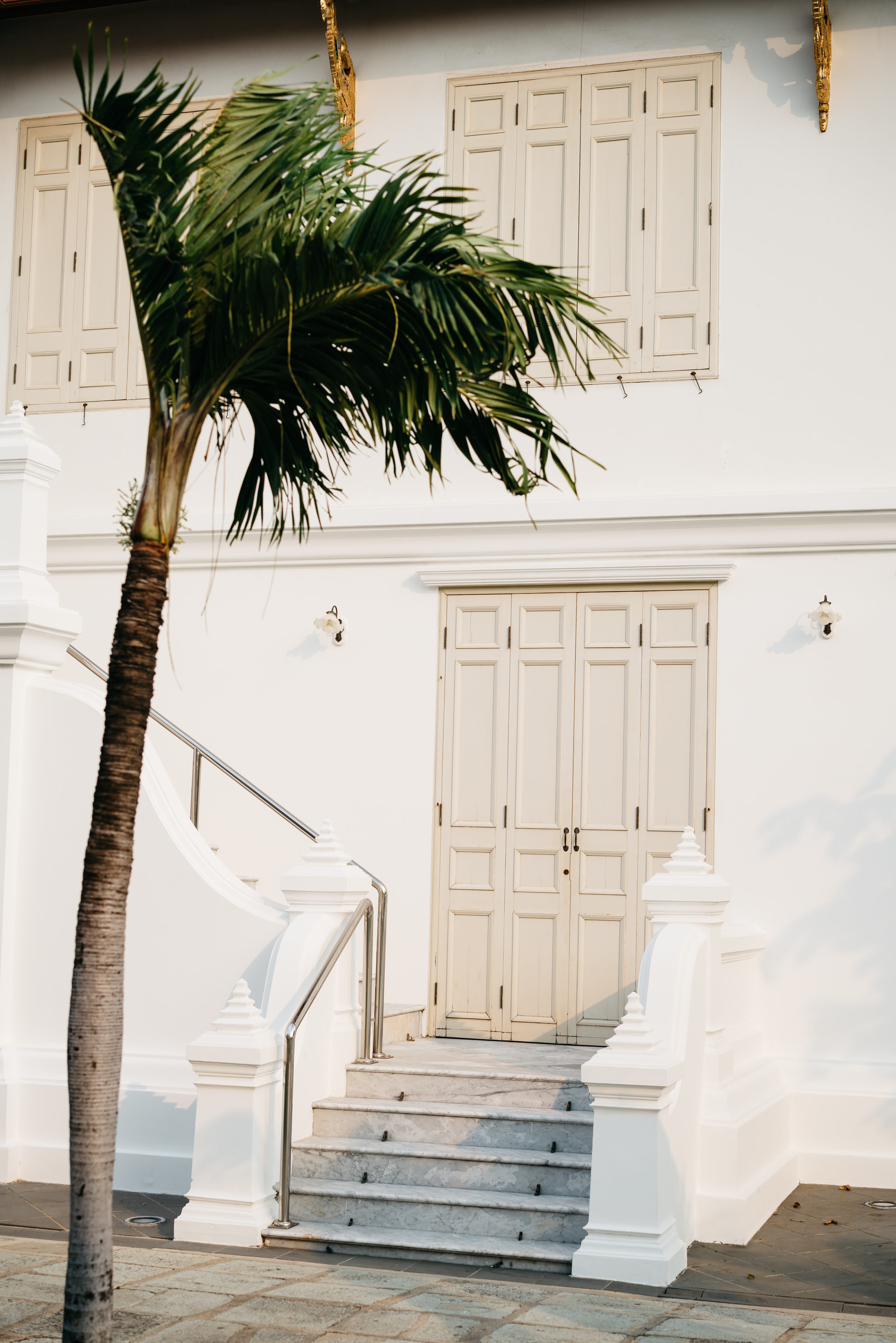 White building exterior with off-white door and marble steps; palm tree in foreground.