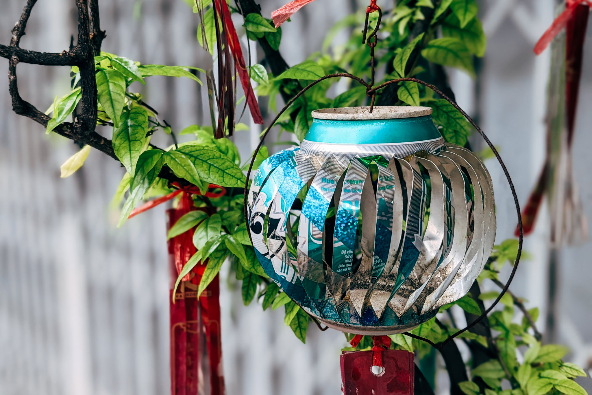 Recycled can wind chime hanging from a tree branch.