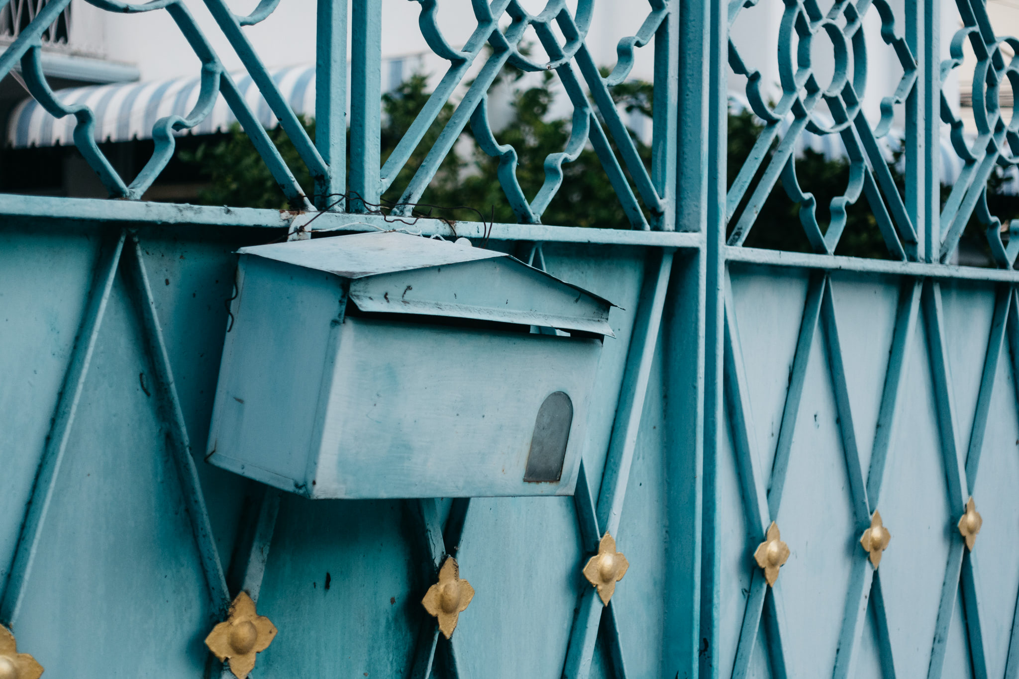 Teal metal mailbox on a teal metal gate.
