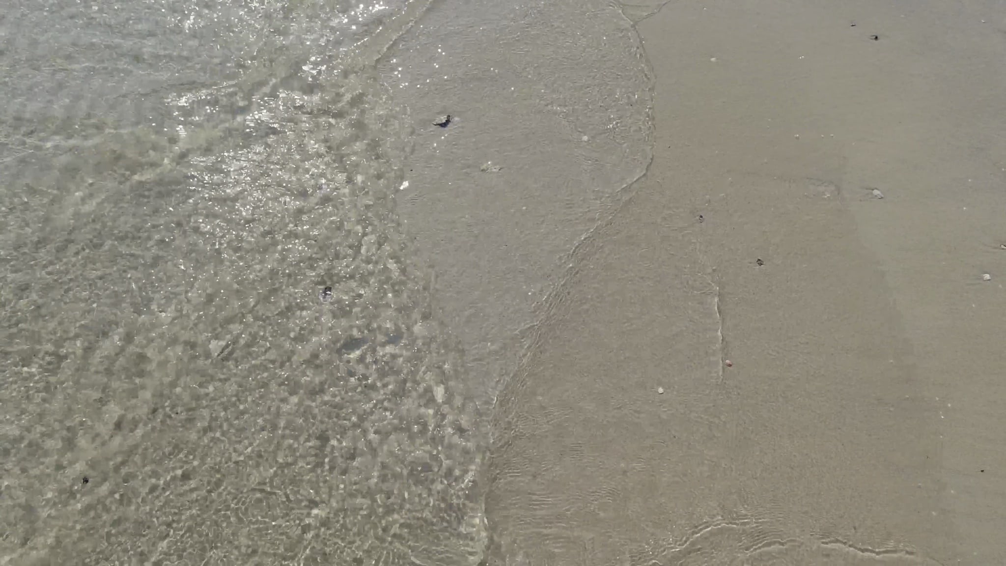 Clear water receding on a sandy beach.