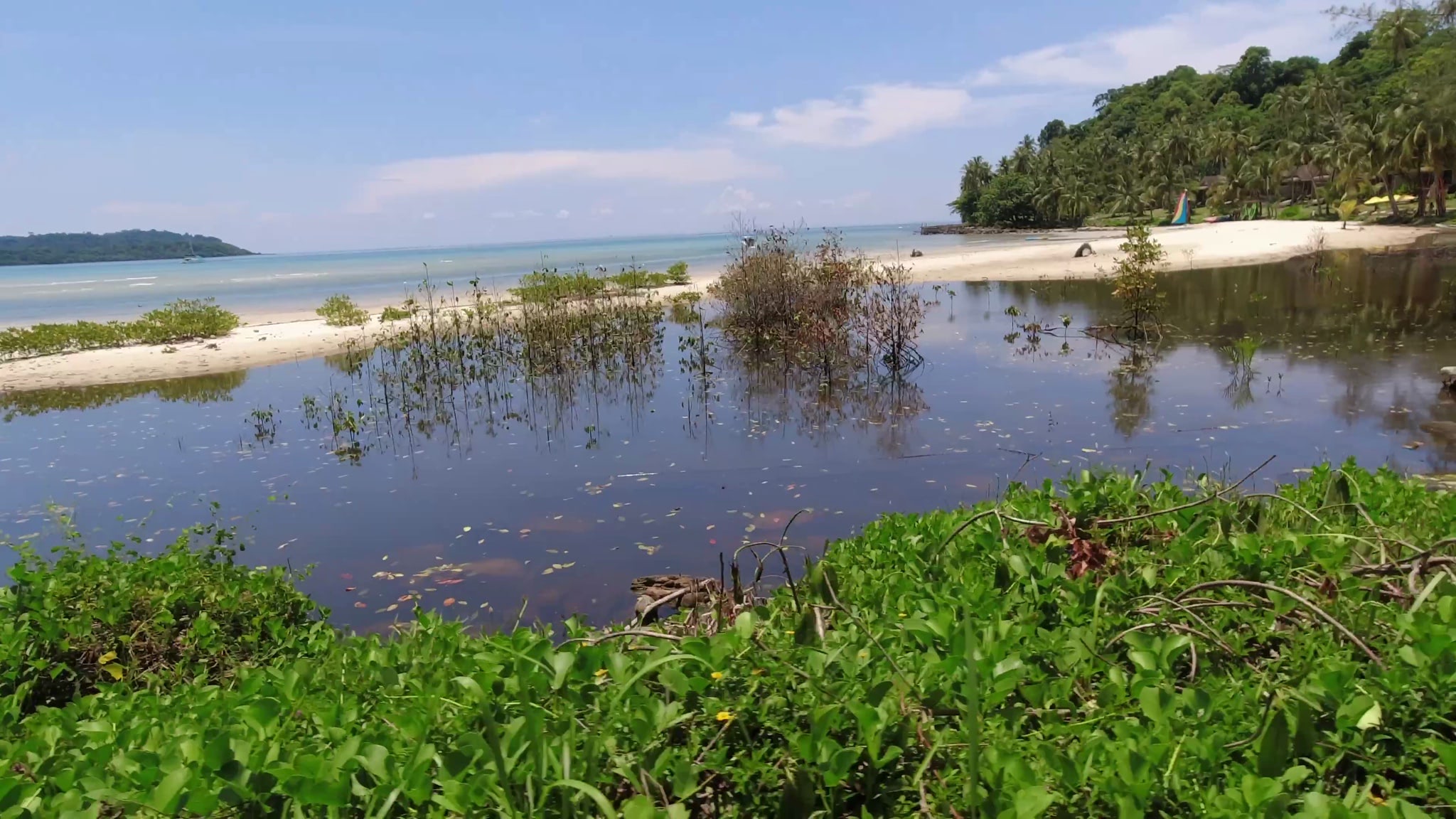 Koh Kood, Thailand: Calm bay with mangrove trees and beach in background.
