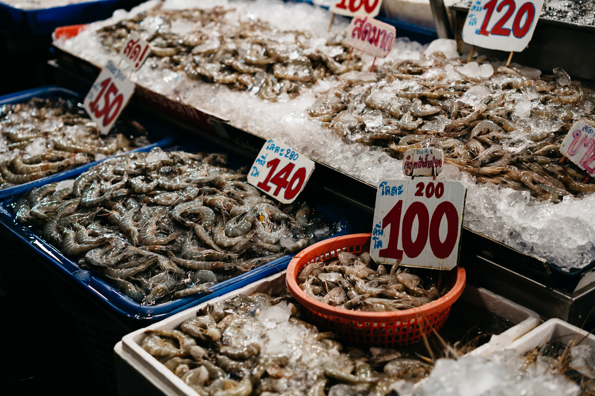 Bangkok fish market with various containers of shrimp on ice, each with price signs in Thai and numbers.