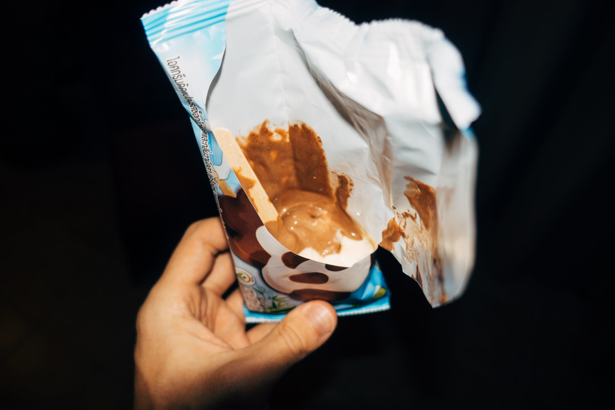 Partially eaten panda-shaped chocolate ice cream bar in its packaging.