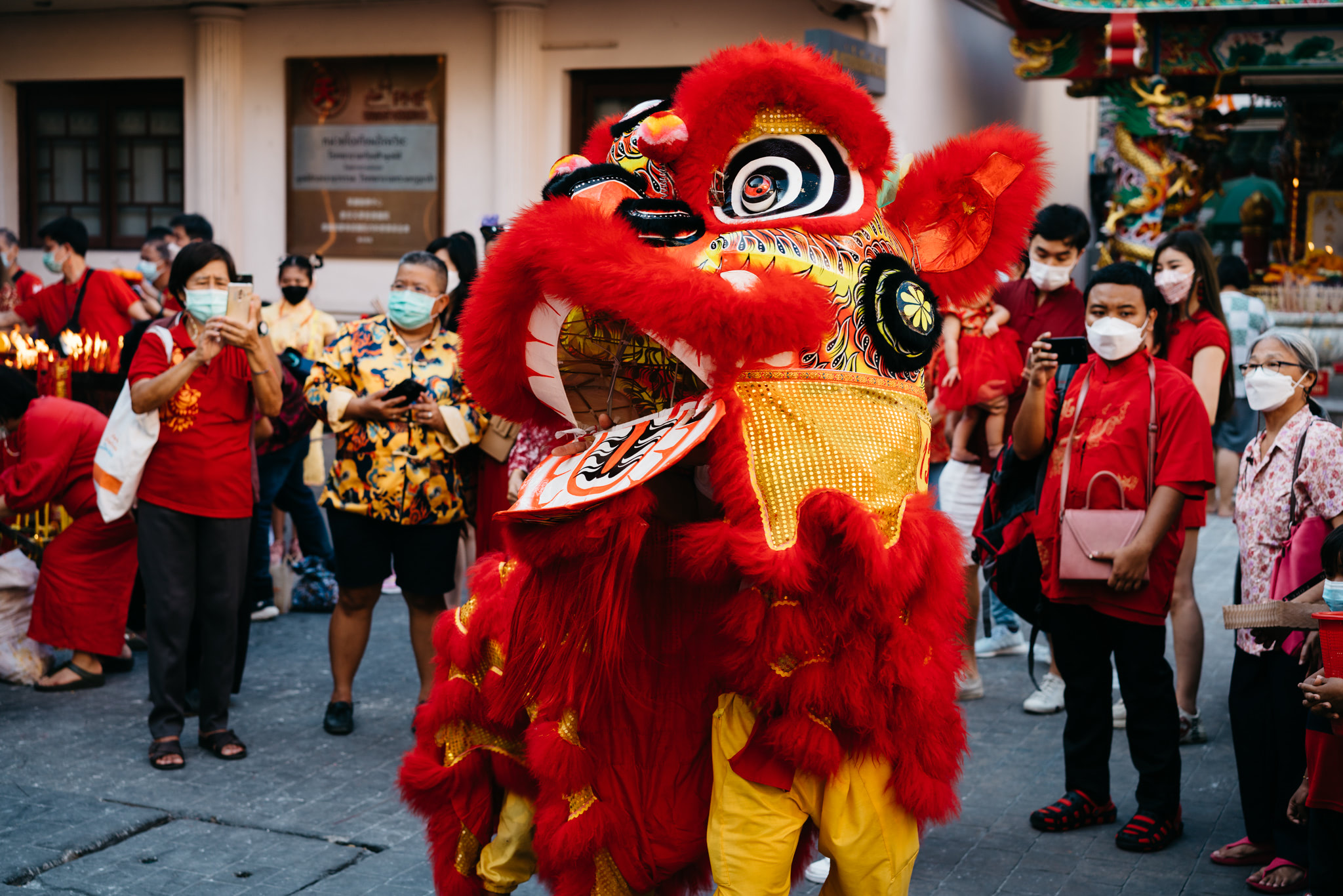 Lion dancers in red and gold costumes perform at a Chinese New Year celebration.