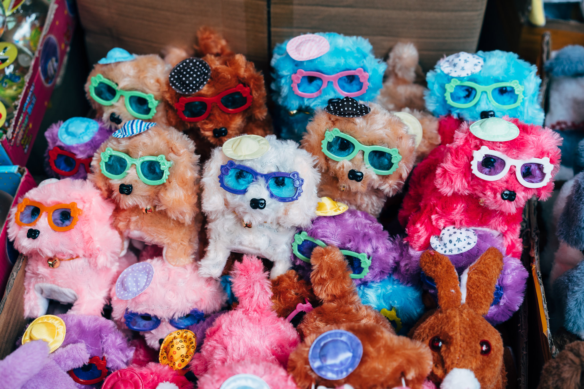 A box of plush toy dogs wearing sunglasses and hats.