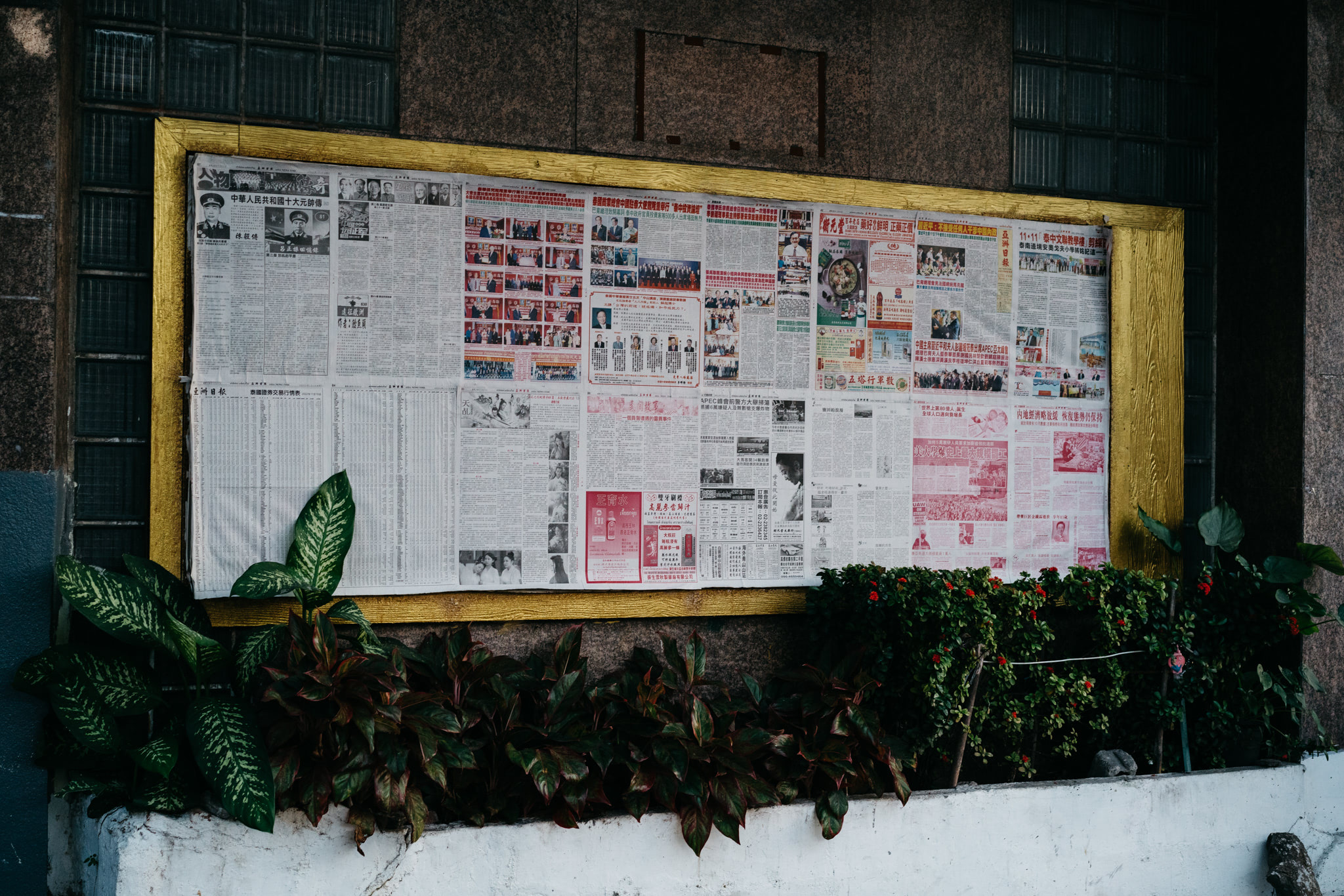Newspaper clippings in Chinese displayed on a gold-framed board, with plants below.
