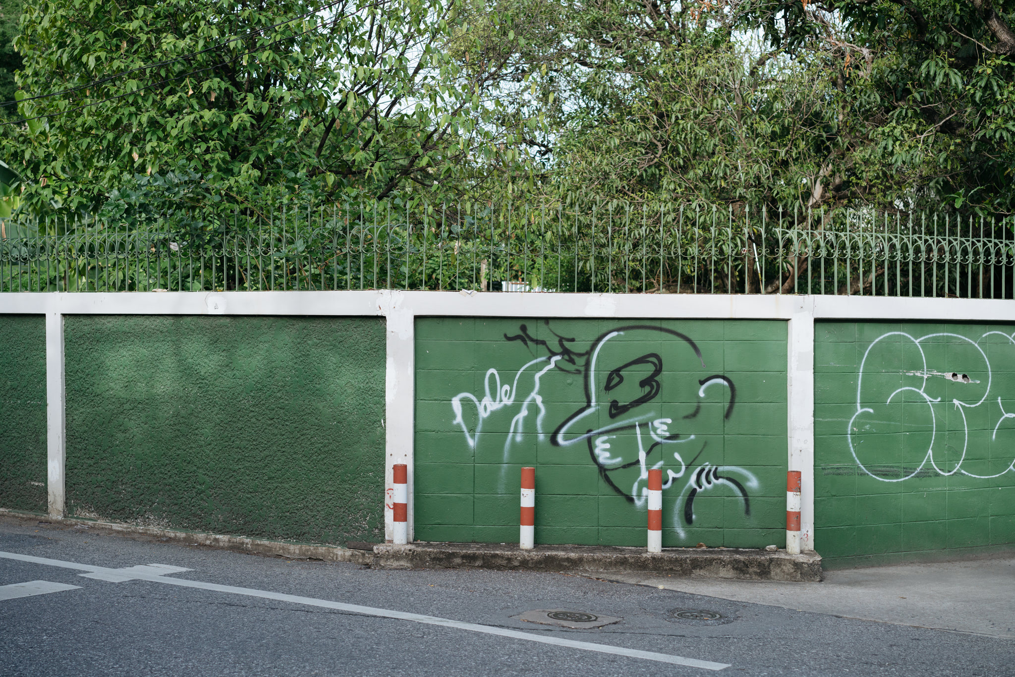 Graffiti on a green wall with a metal fence and lush green trees behind it.