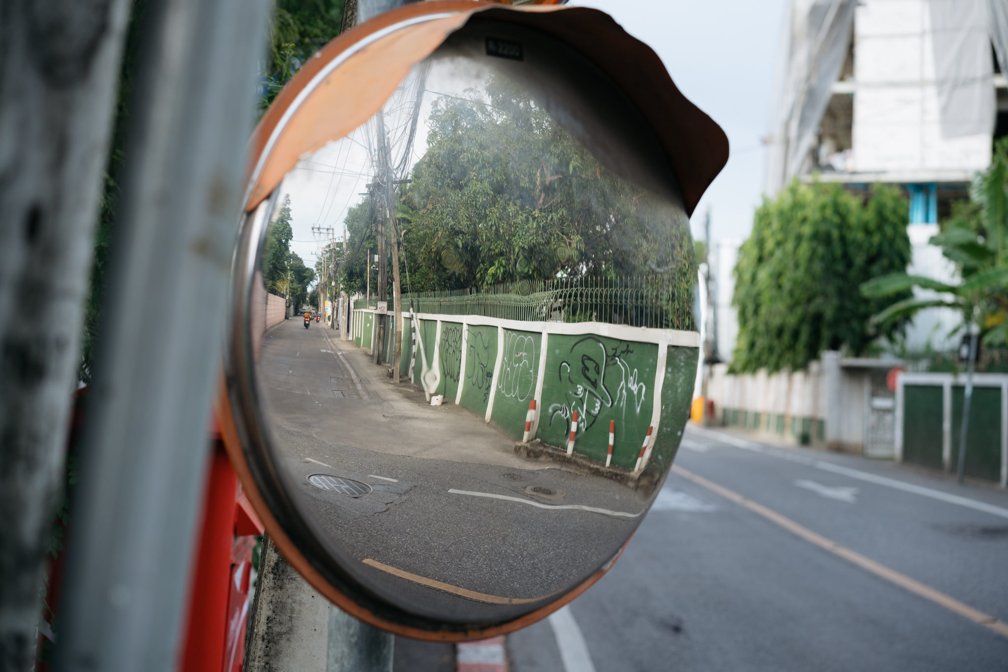 Convex mirror reflecting a street scene with graffiti on a wall.