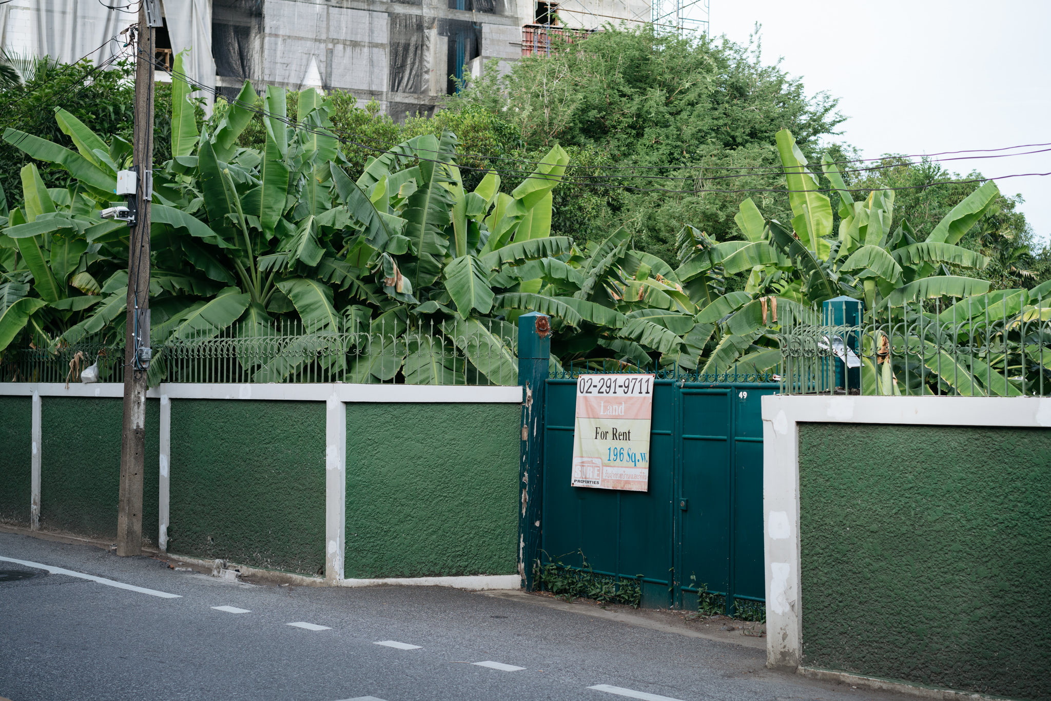 Green wall with gate and 'Land For Rent' sign.