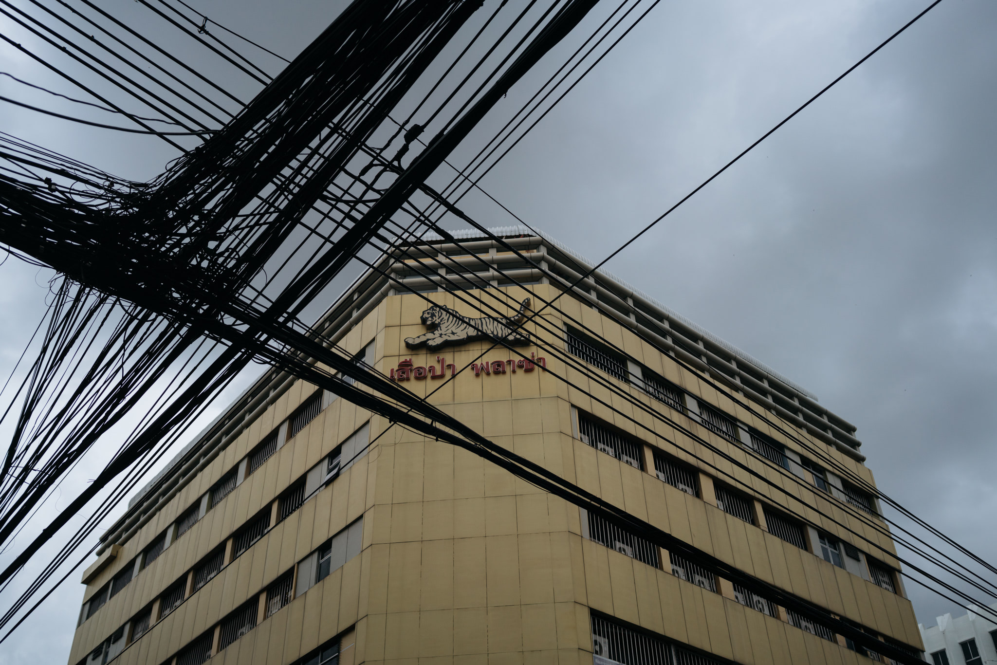 Tangled power lines over a tan building with a tiger logo.