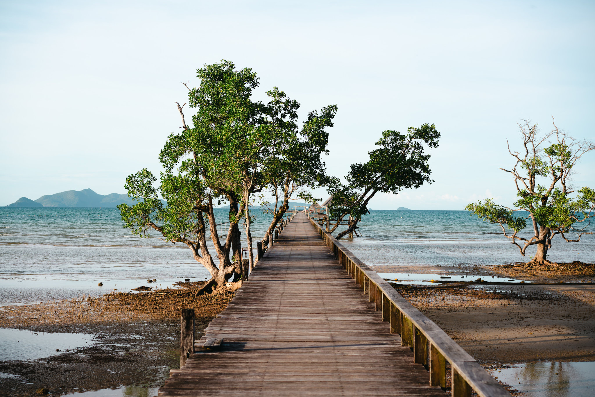 Wooden pier extending into ocean, flanked by trees.