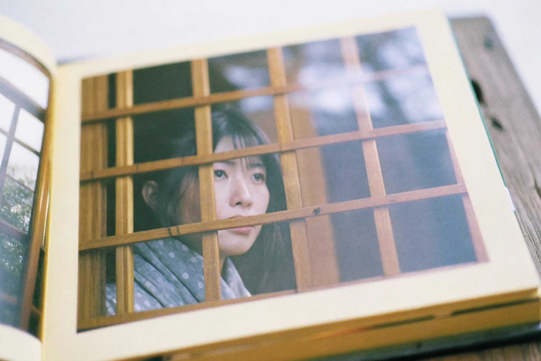 Photo of a woman behind a wooden lattice.