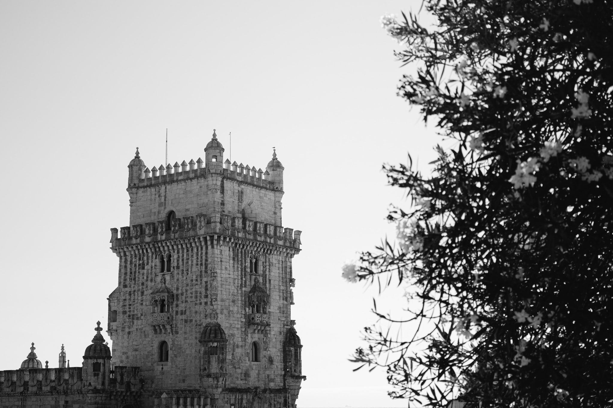 Black and white photo of Belém Tower in Lisbon, partially obscured by a tree.