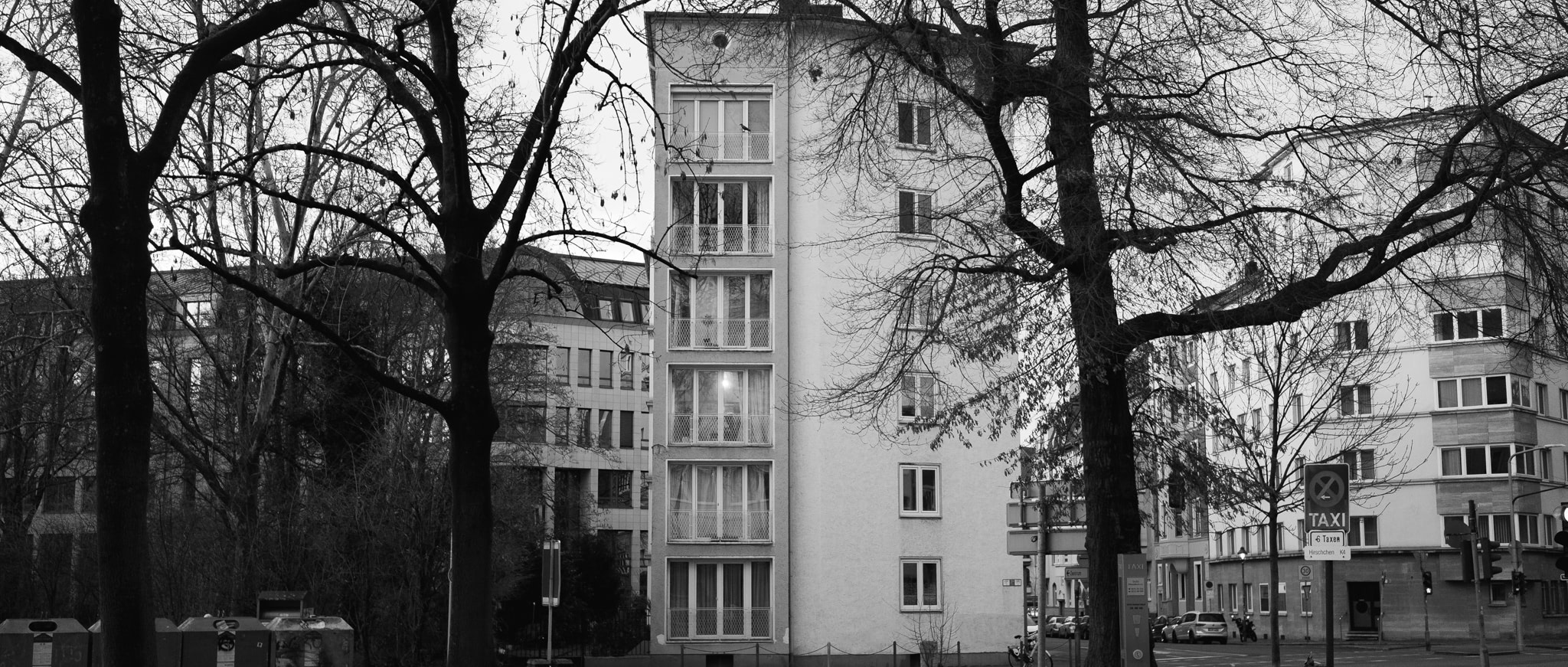 Black and white photograph of buildings framed by bare trees.