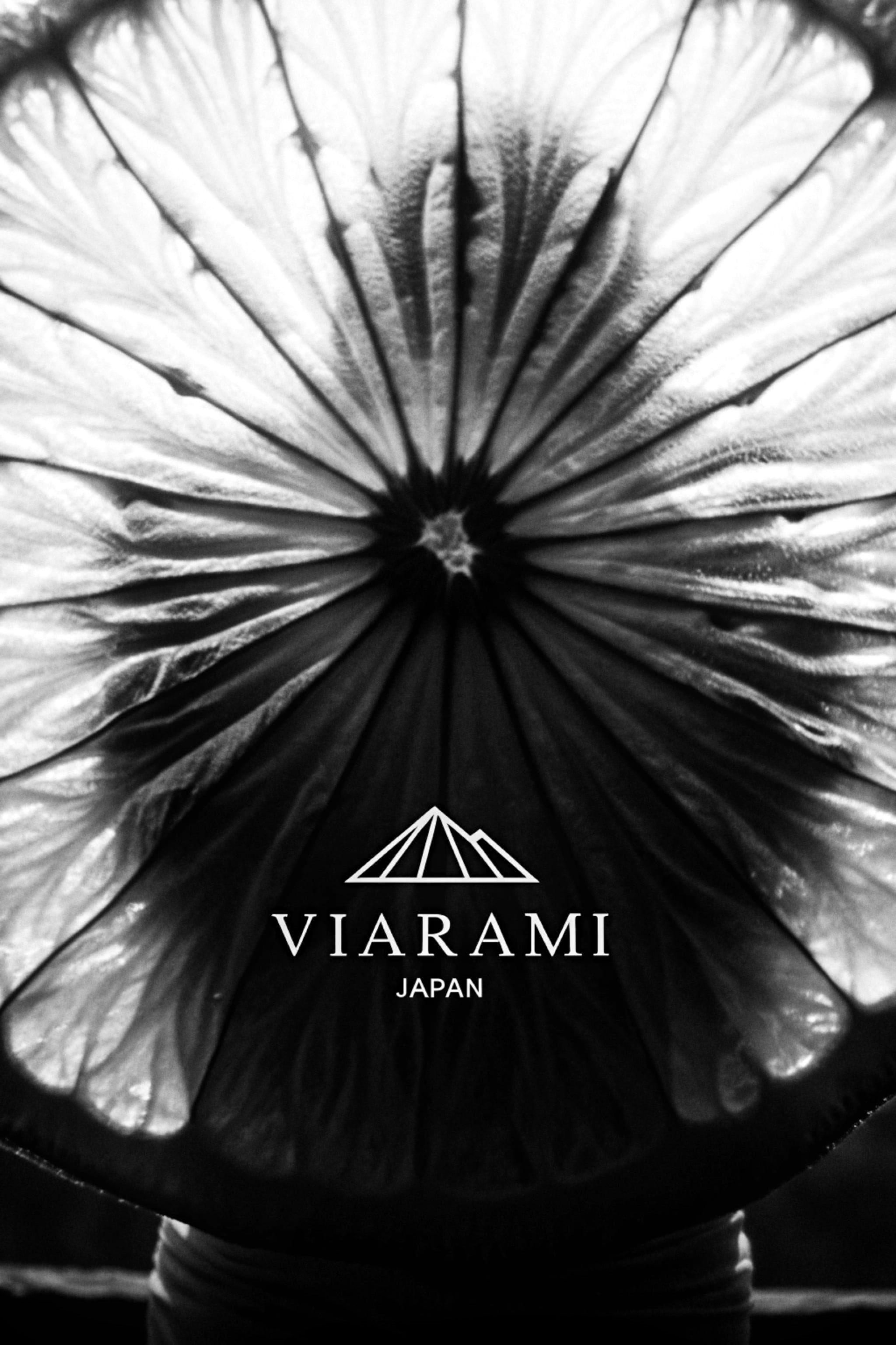 Black and white backlit citrus fruit slice.