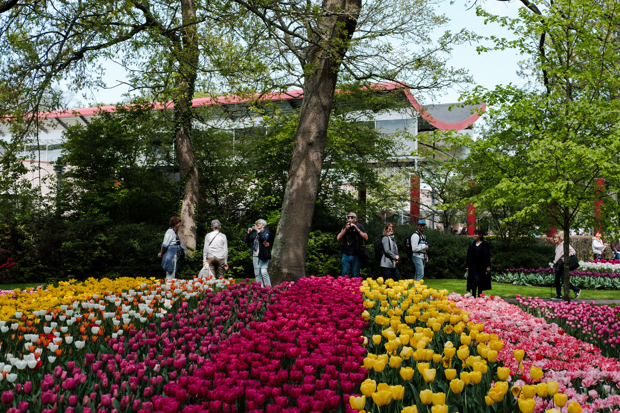 Flower beds with tulips and visitors in a park.