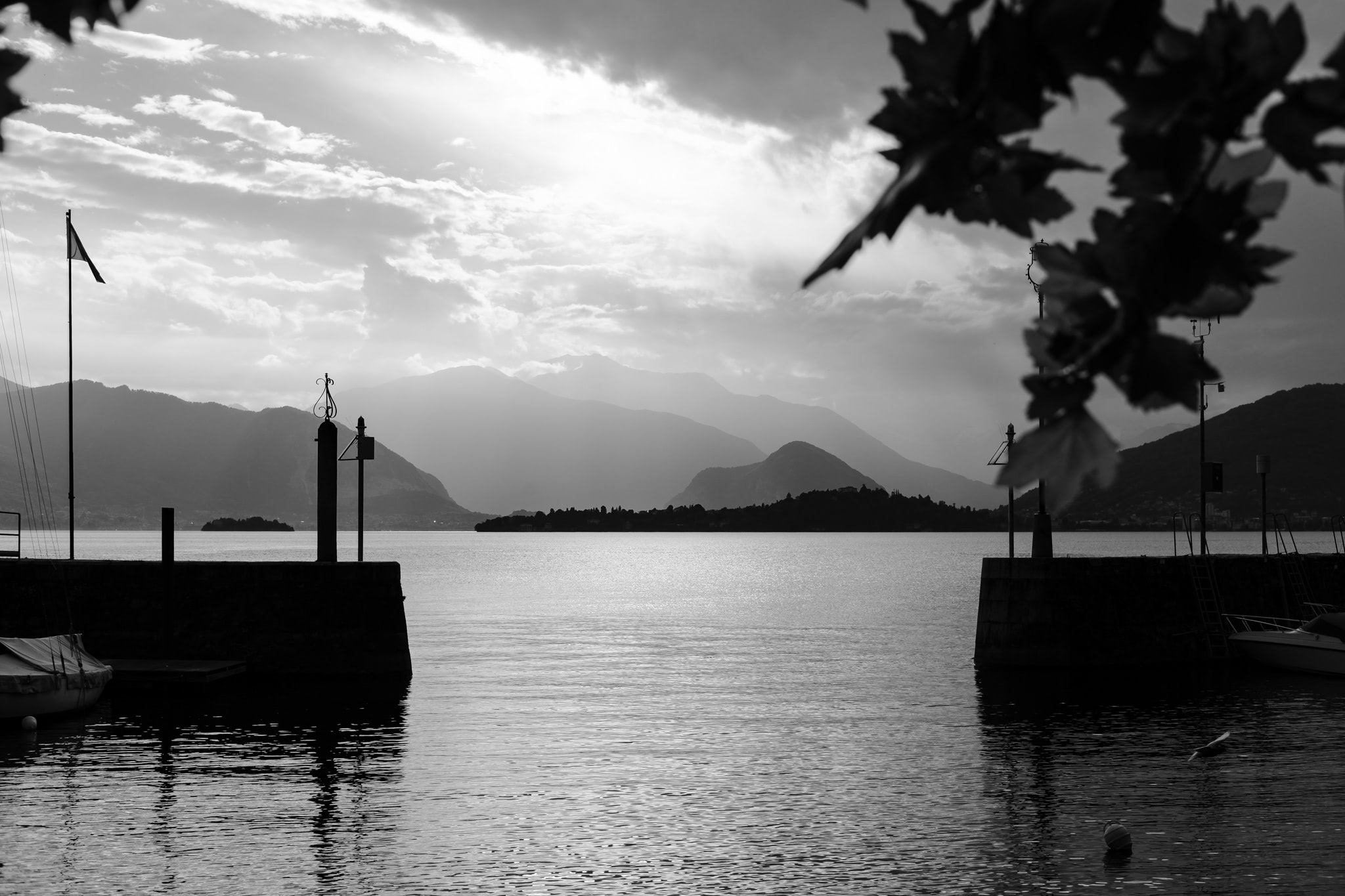 Black and white landscape photo of a lake and mountains, with a pier and foliage in the foreground.
