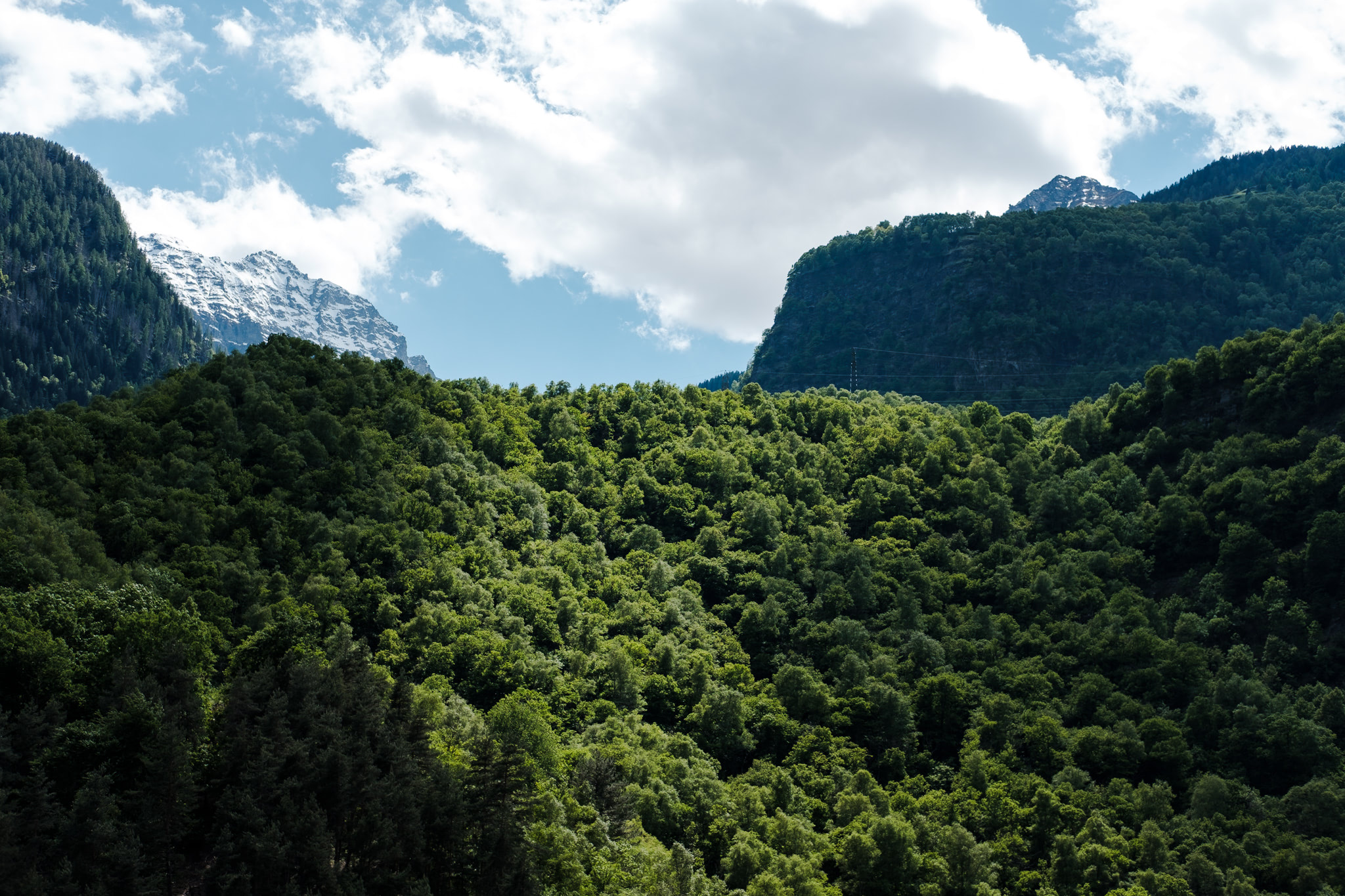Mountainous landscape with dense green forests and snowy peaks under a cloudy sky.