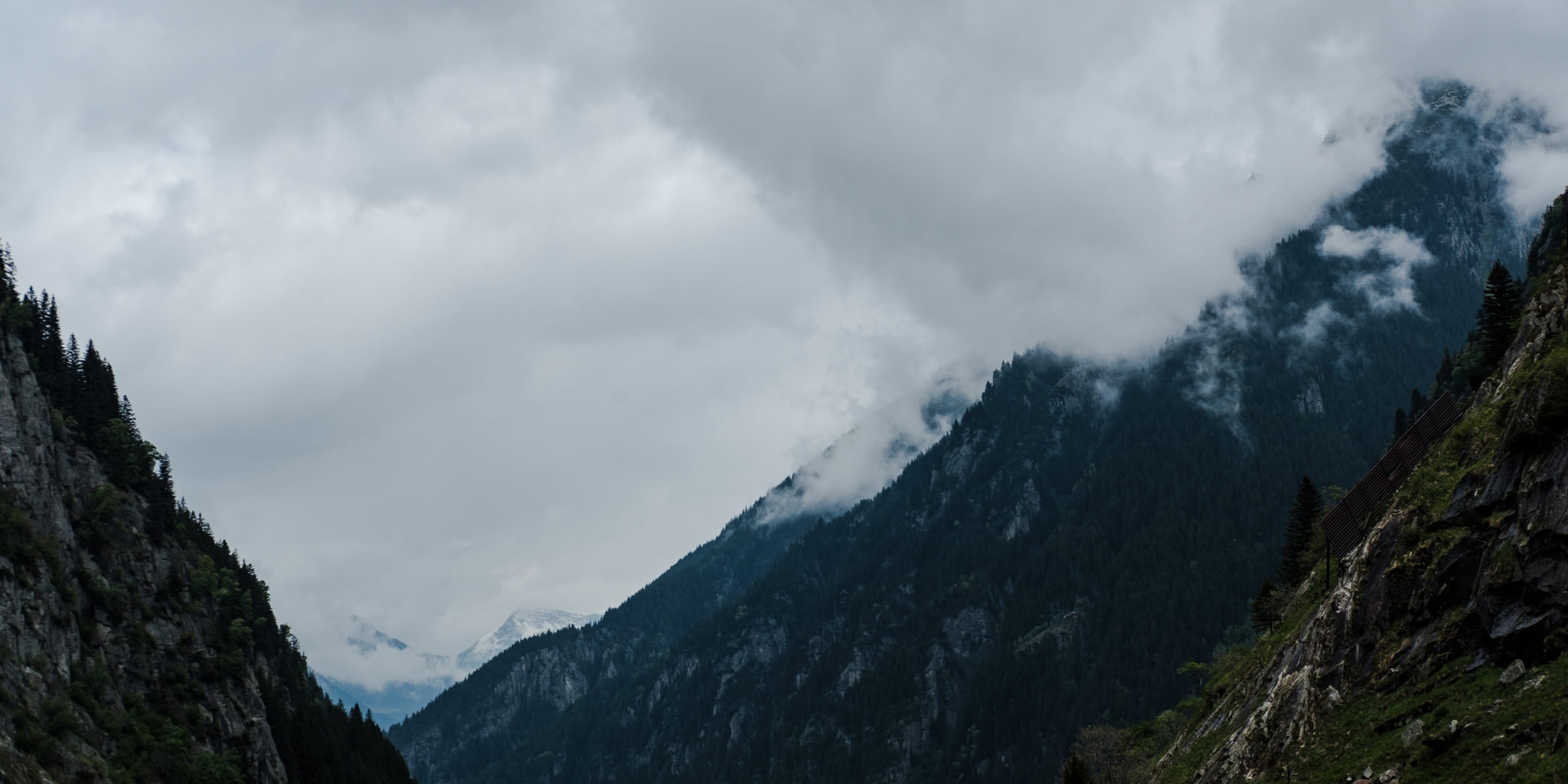 Mountain peaks shrouded in clouds. Dark green forests cover mountain slopes. Overcast sky.