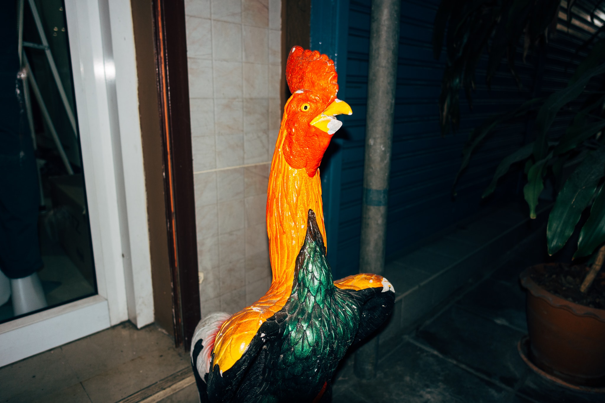 Colorful, brightly painted ceramic or plaster rooster statue standing outdoors near a doorway at night.