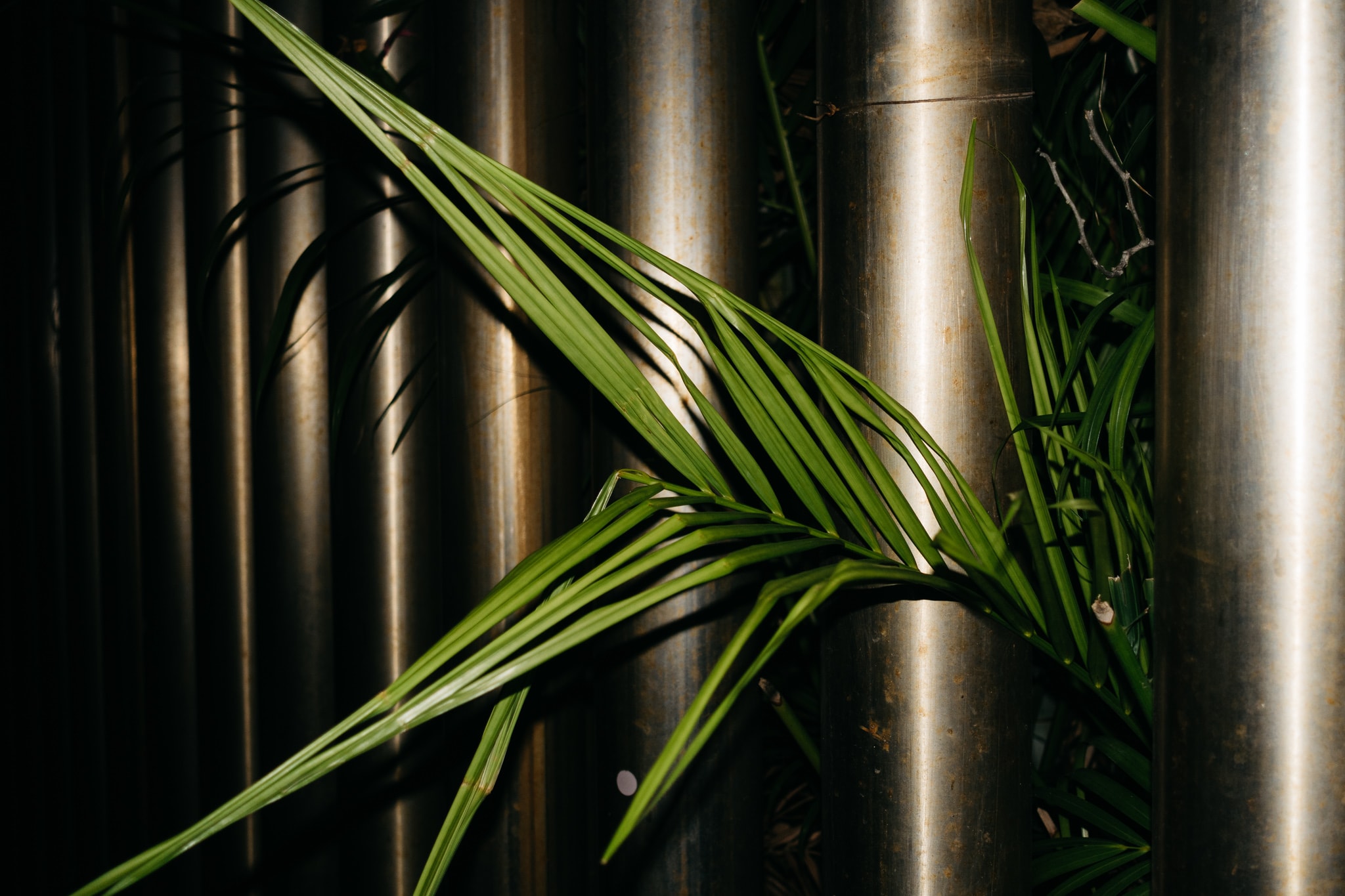 Close-up of bright green palm fronds contrasting against a dark background of vertical, reflective silver or bronze metal pipes, creating dramatic shadows and highlights.