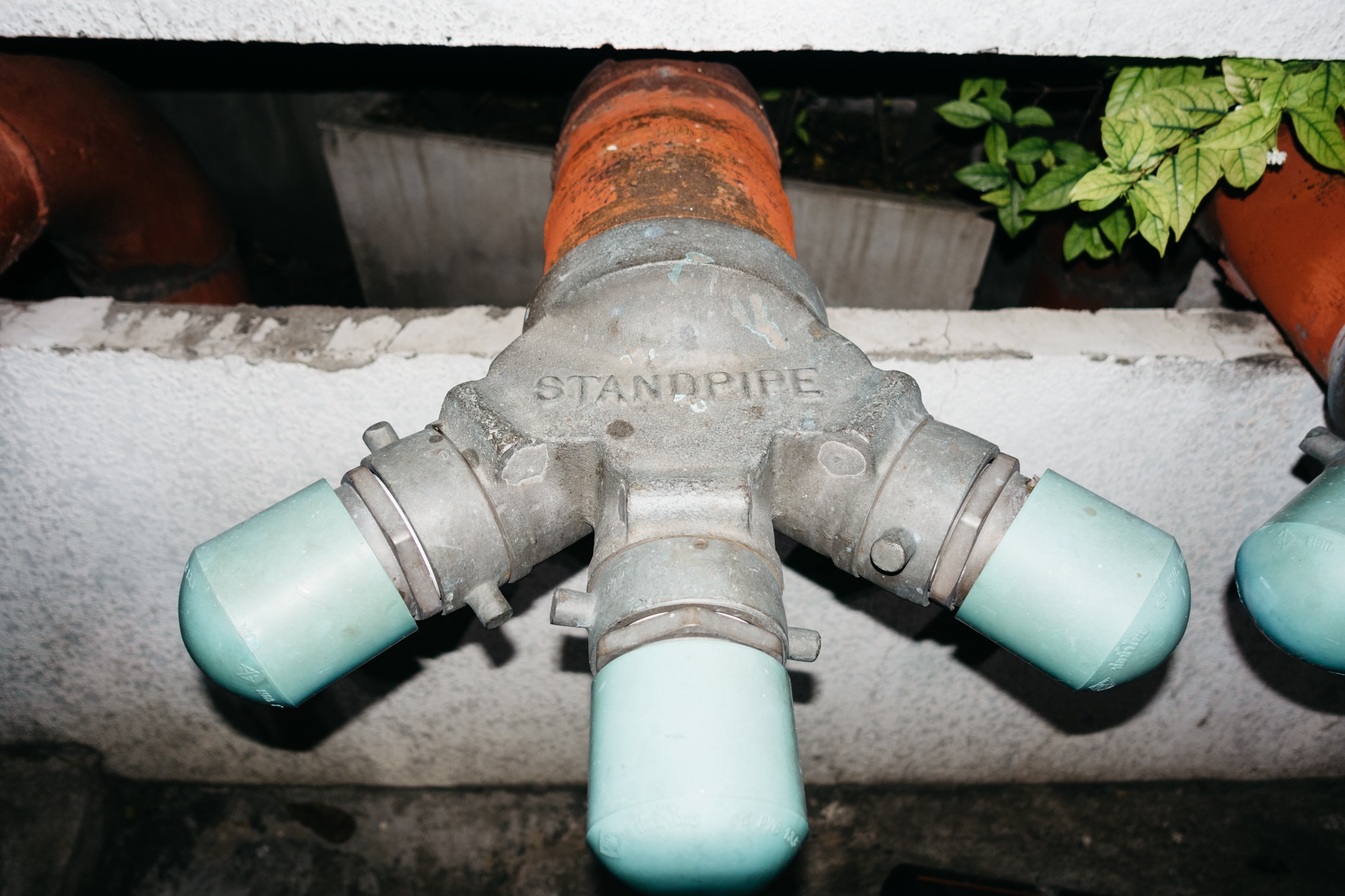 Close-up of a weathered metal fire standpipe assembly with three light green capped outlets, mounted against a white textured wall with a rusty pipe visible above.